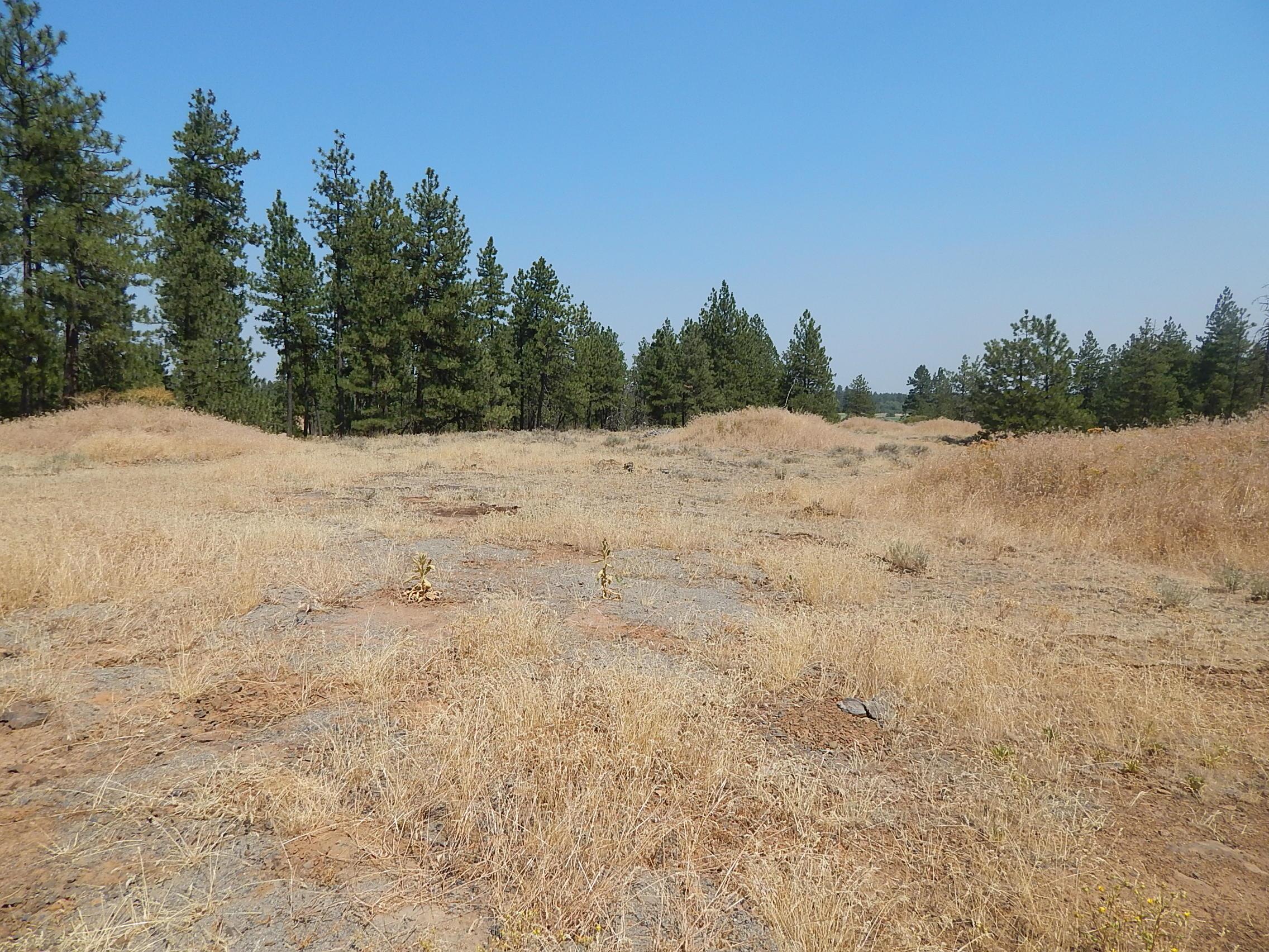 249014 W Kitt Rd - Photo 3