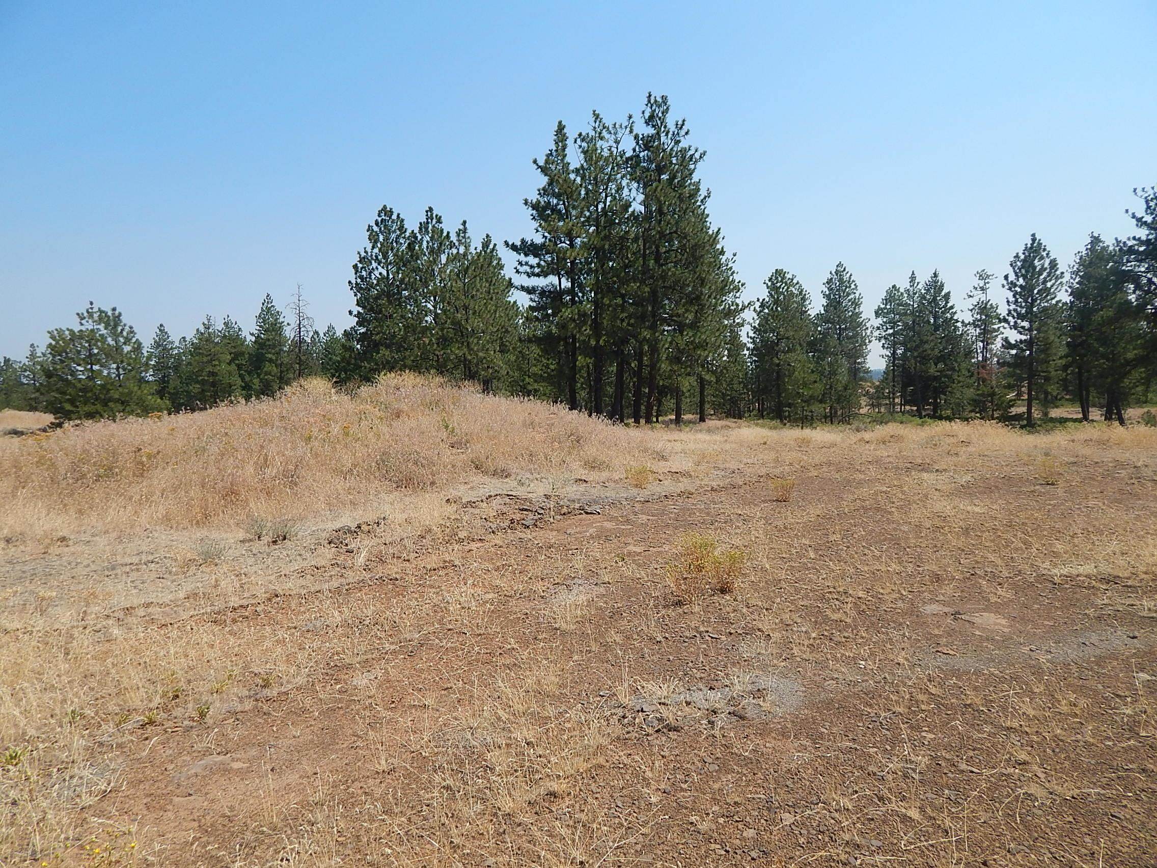 249014 W Kitt Rd - Photo 4