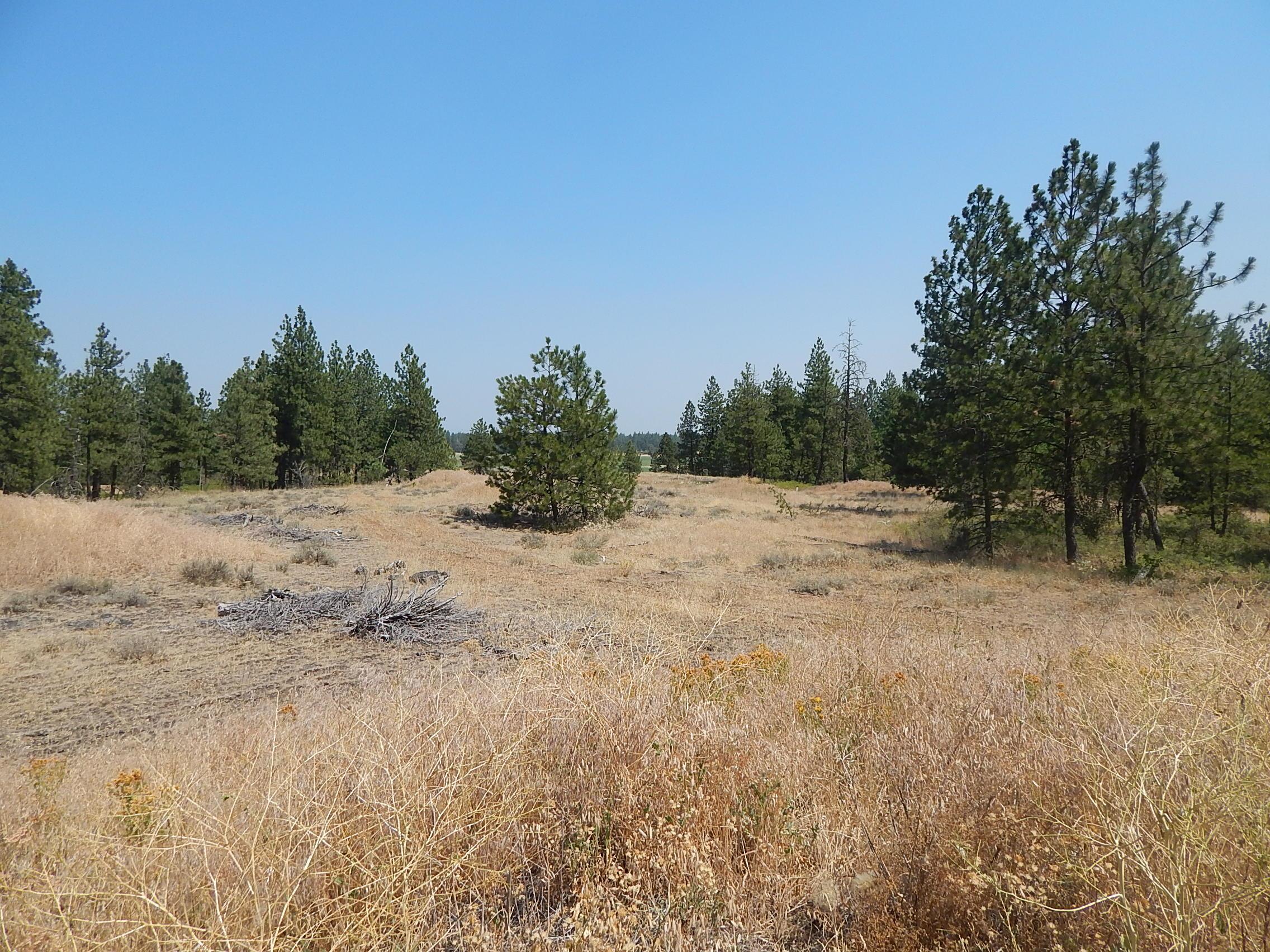 249014 W Kitt Rd - Photo 5