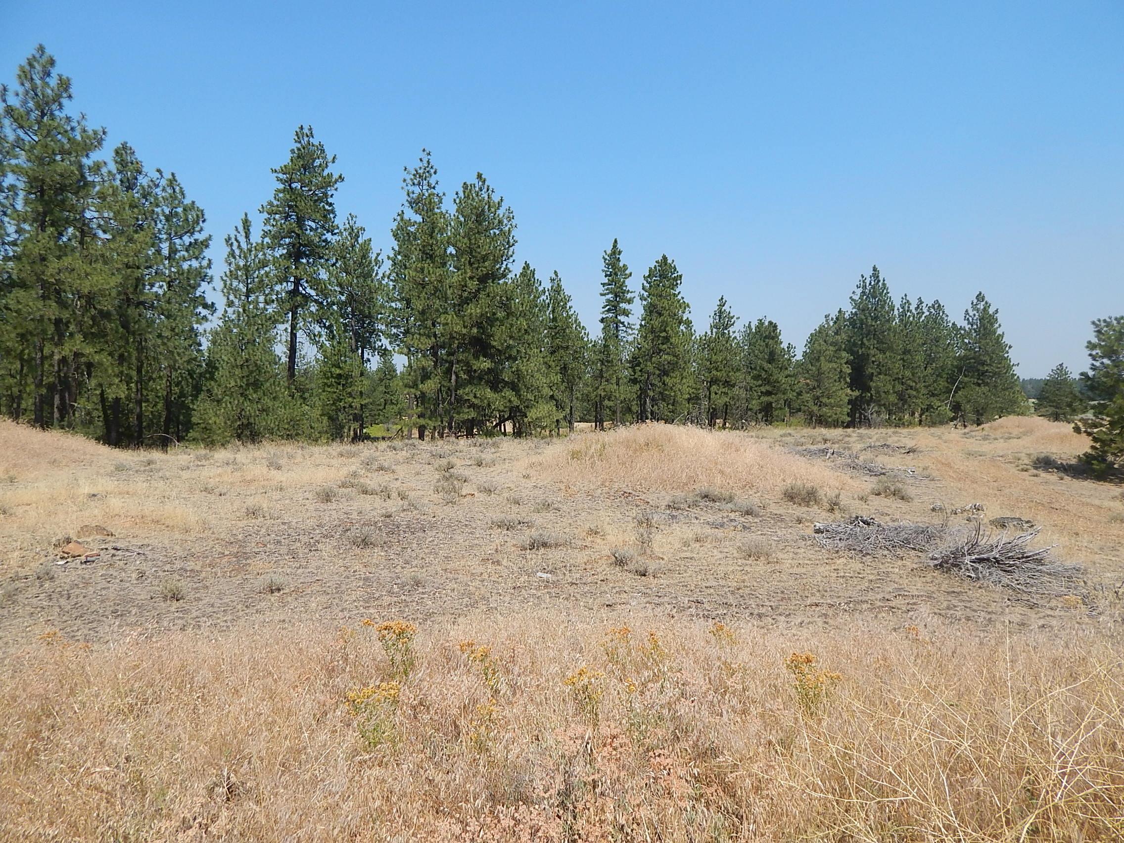 249014 W Kitt Rd - Photo 6