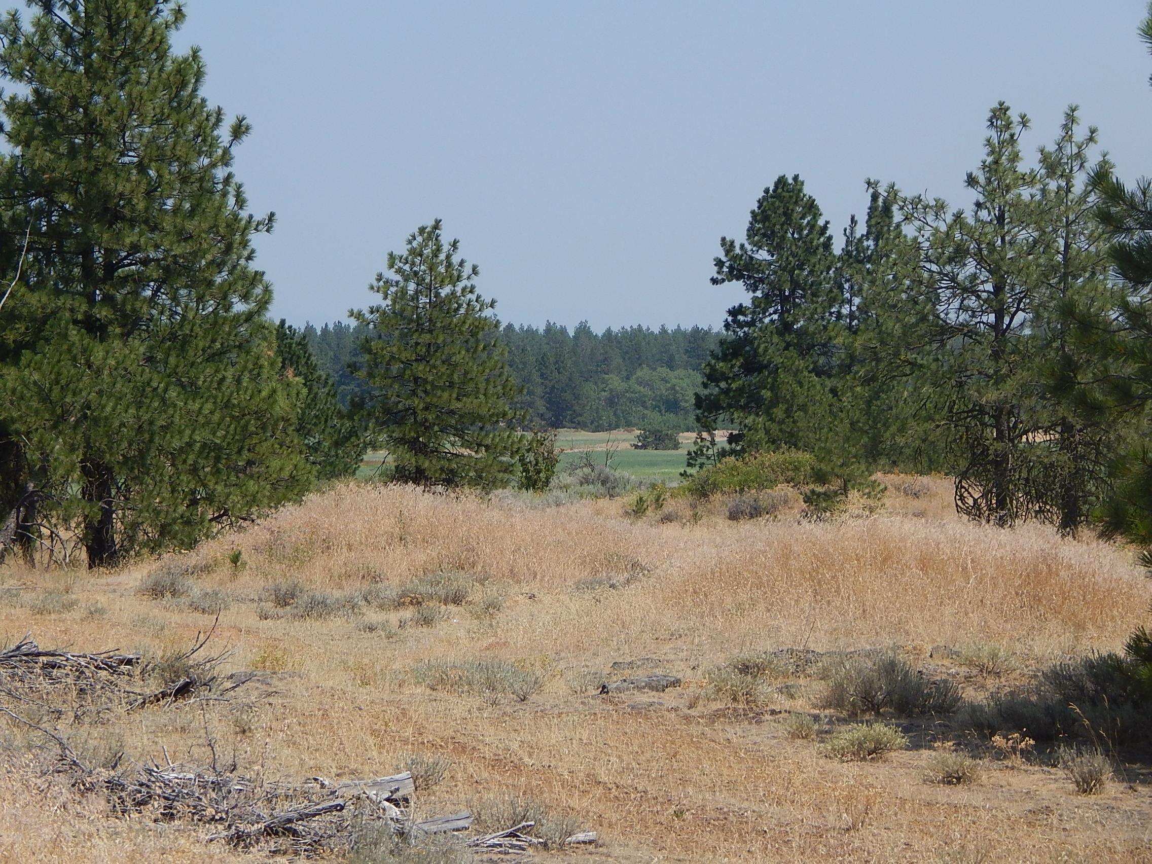 249014 W Kitt Rd - Photo 7