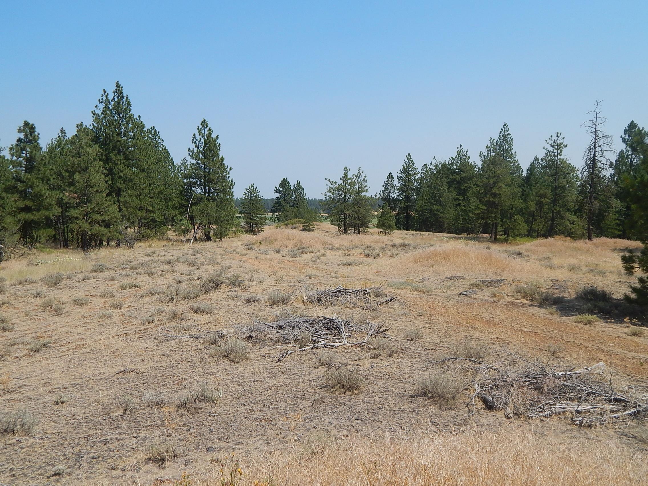 249014 W Kitt Rd - Photo 8