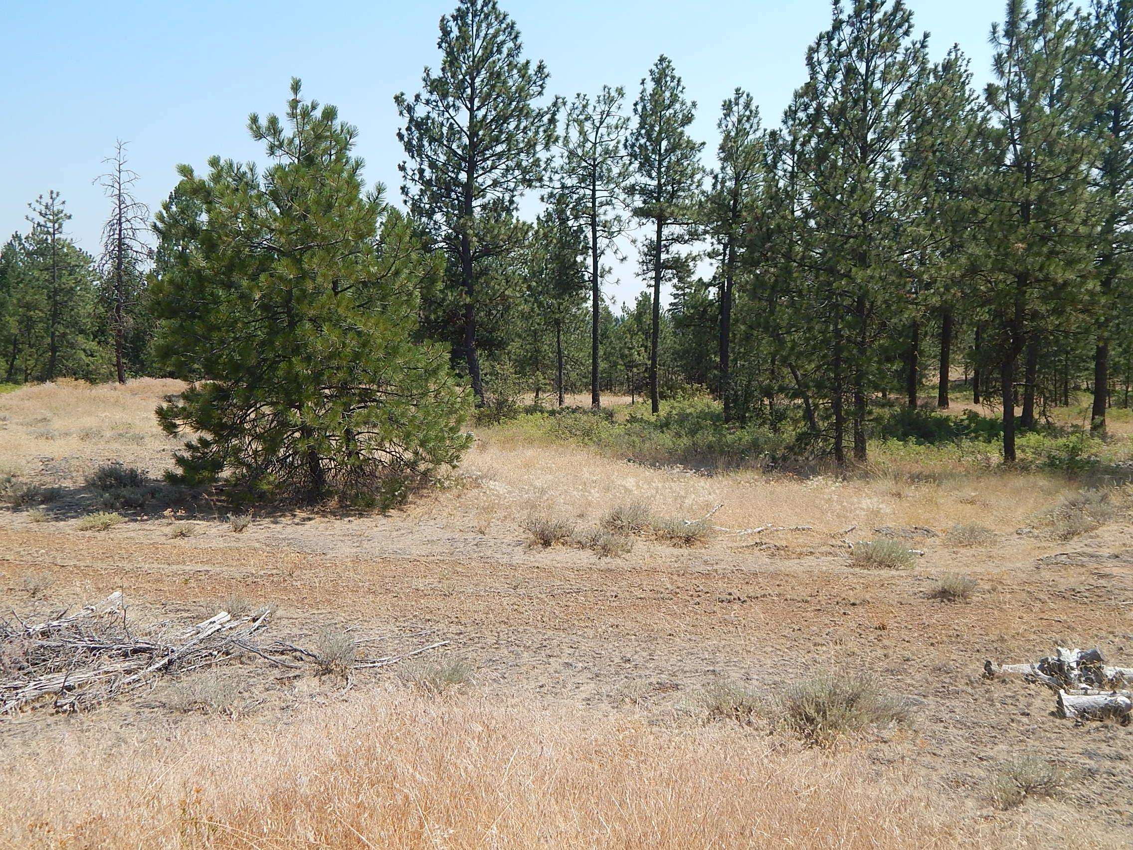 249014 W Kitt Rd - Photo 9