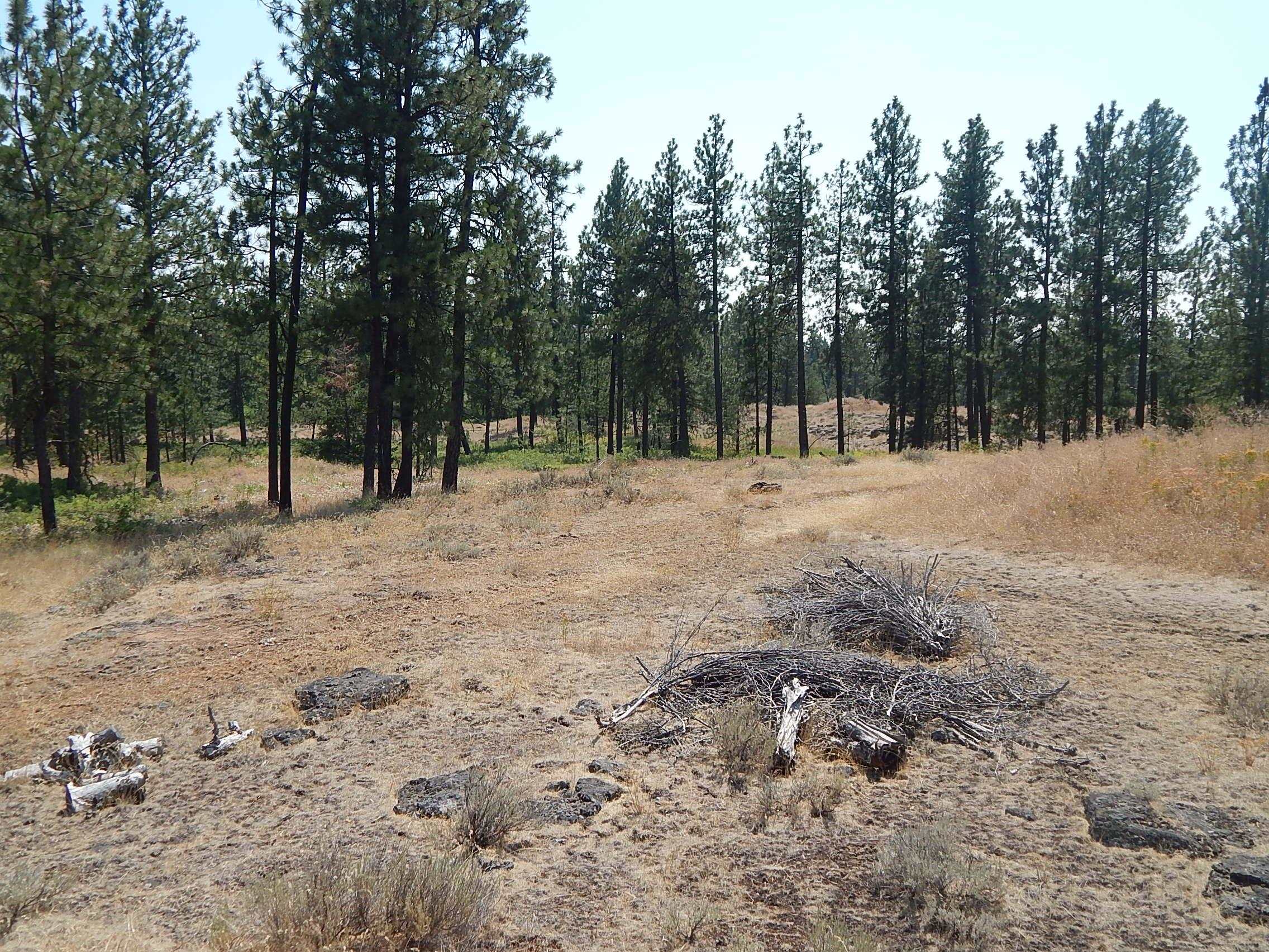 249014 W Kitt Rd - Photo 10