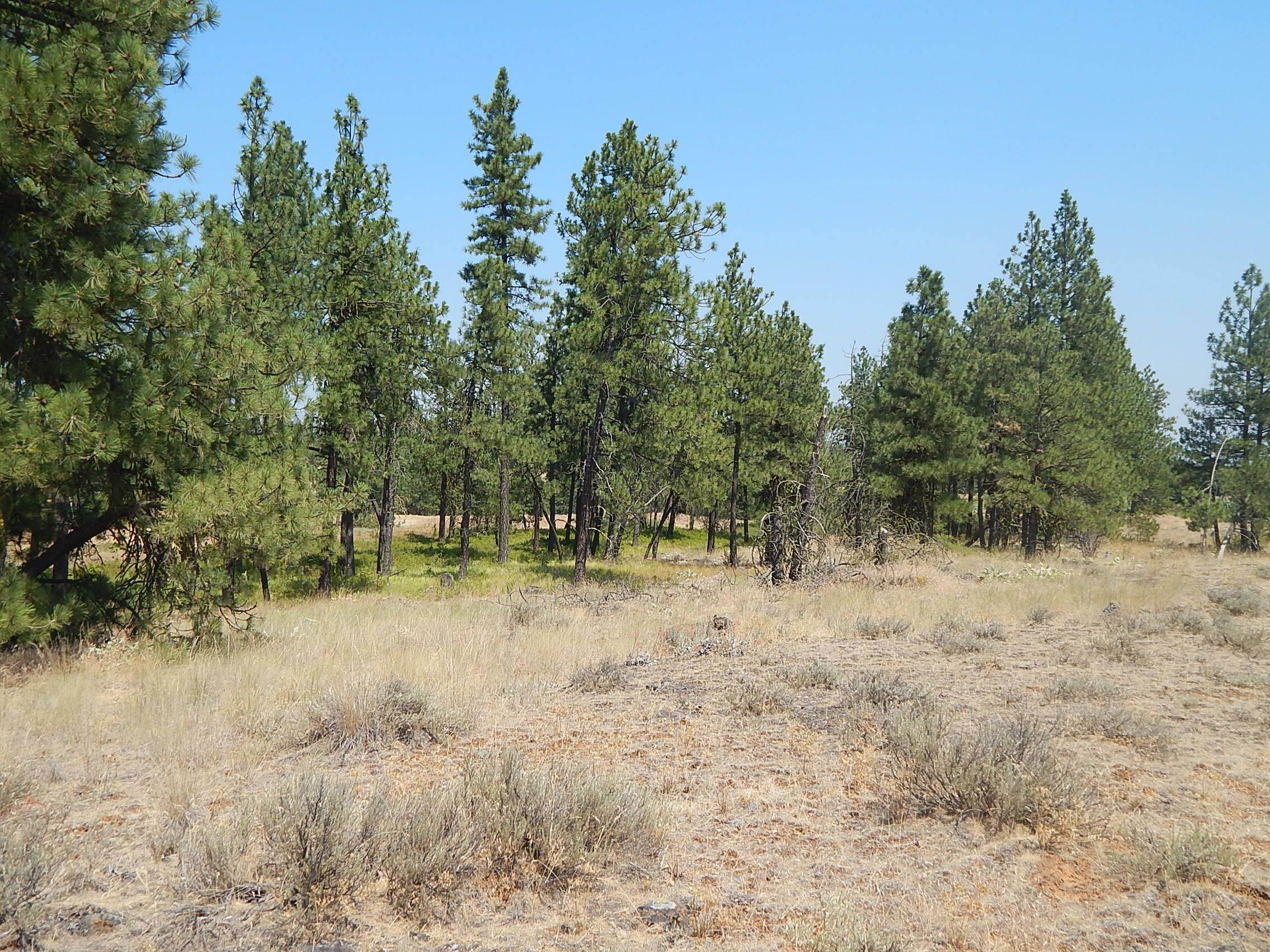 249014 W Kitt Rd - Photo 11