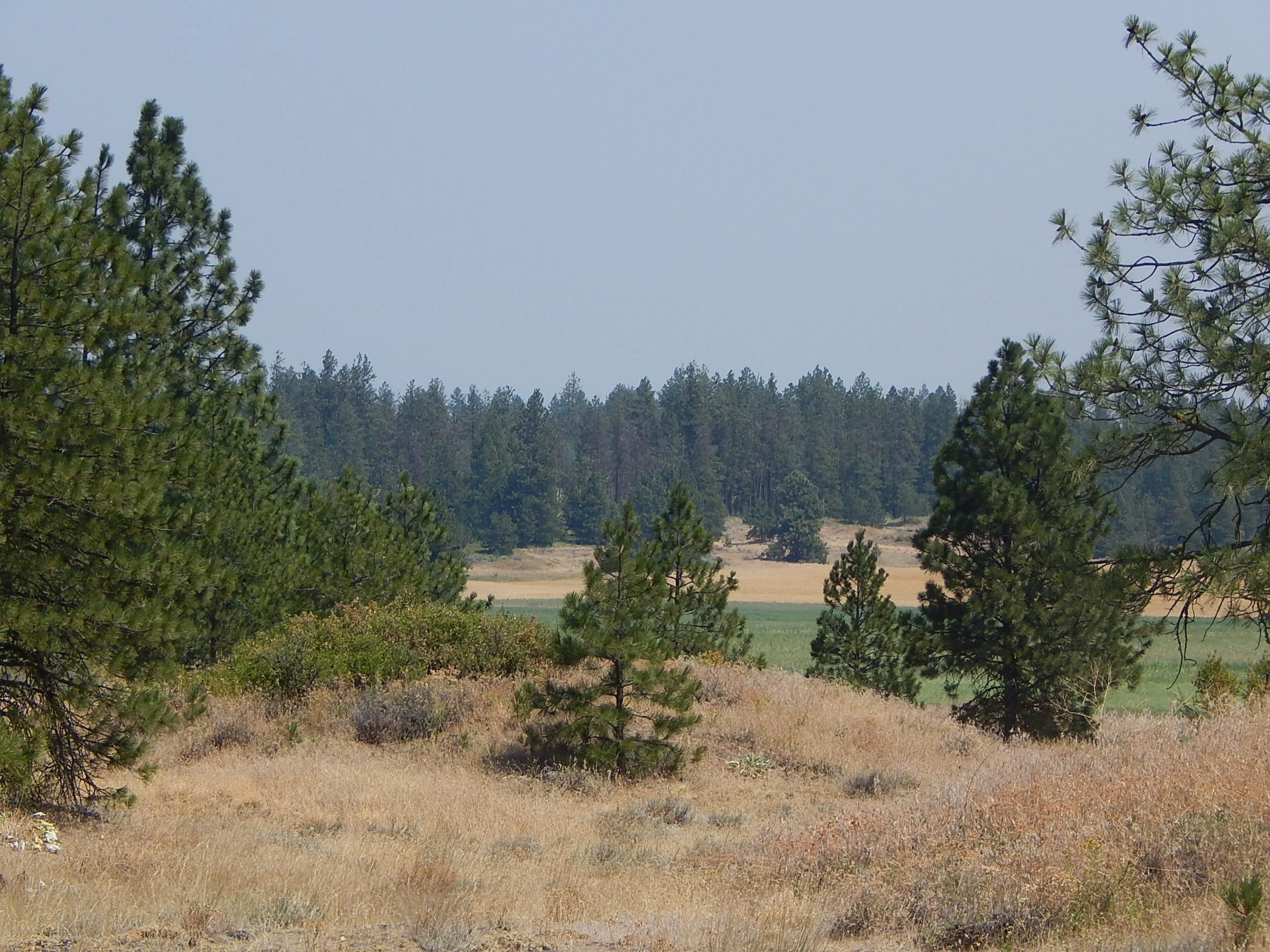 249014 W Kitt Rd - Photo 12