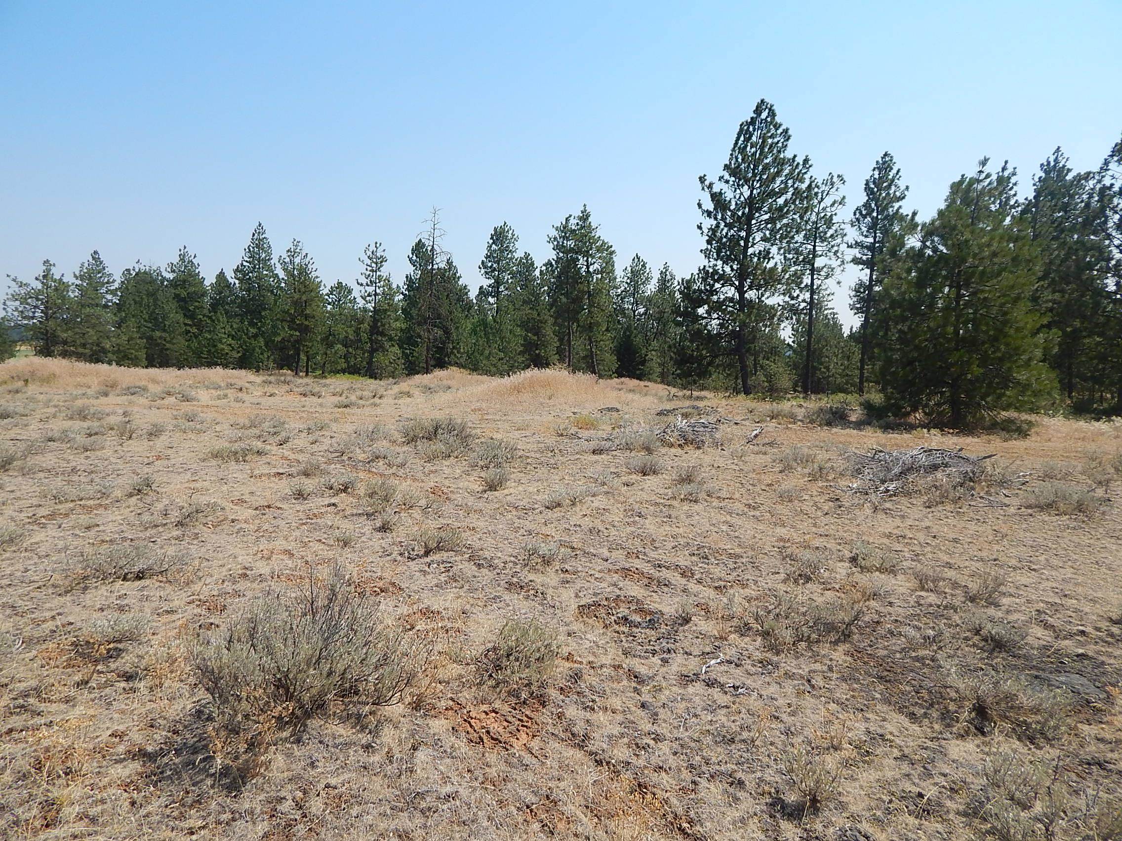 249014 W Kitt Rd - Photo 13