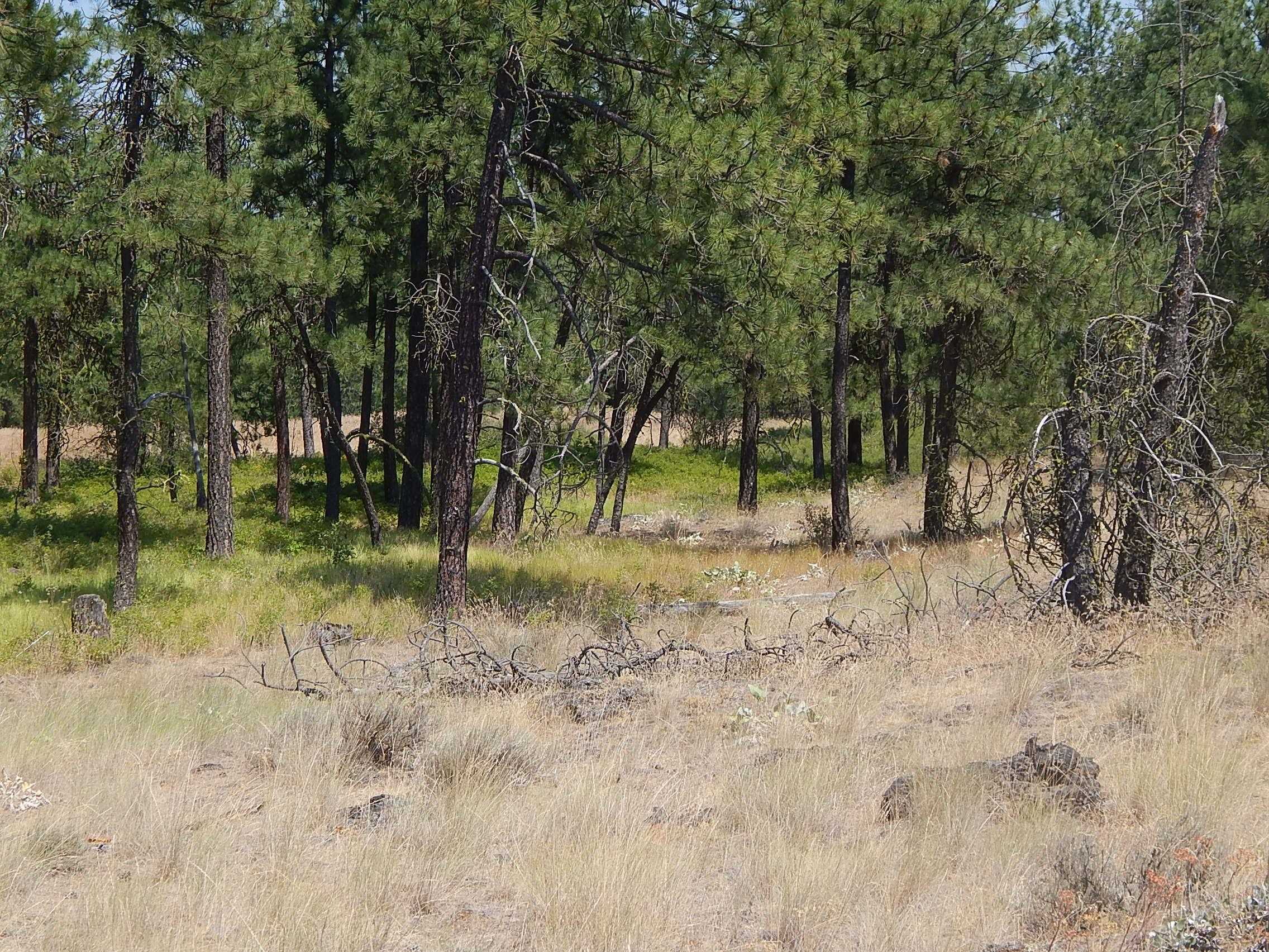 249014 W Kitt Rd - Photo 14