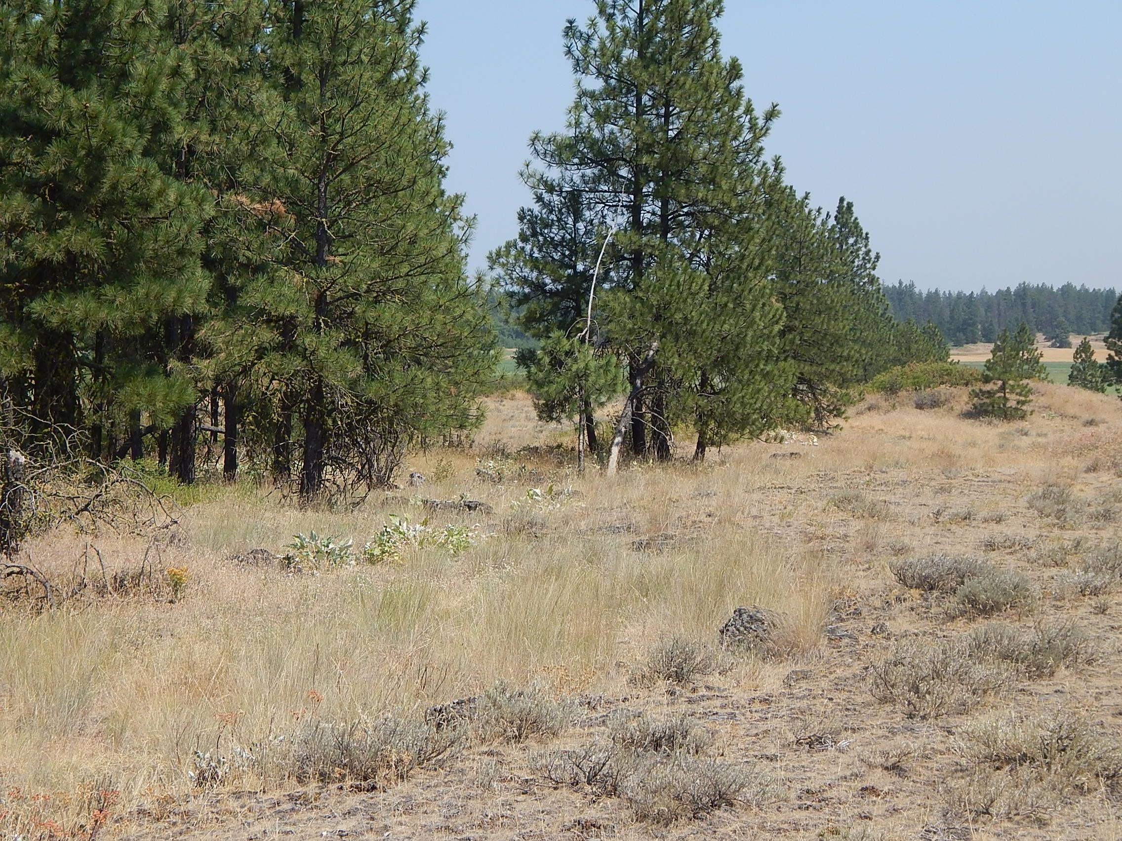 249014 W Kitt Rd - Photo 15