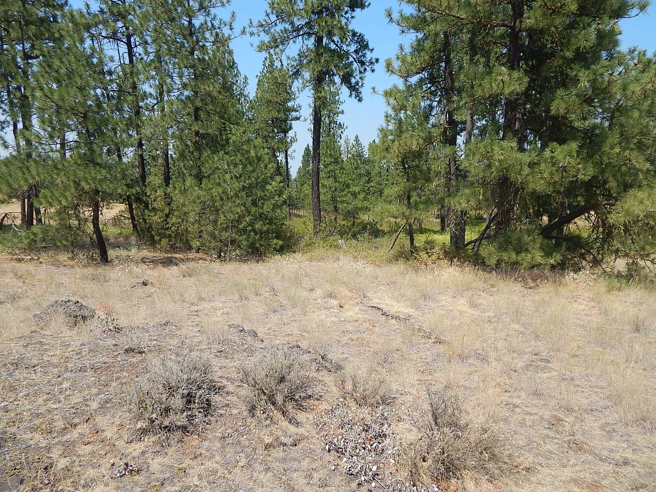 249014 W Kitt Rd - Photo 16
