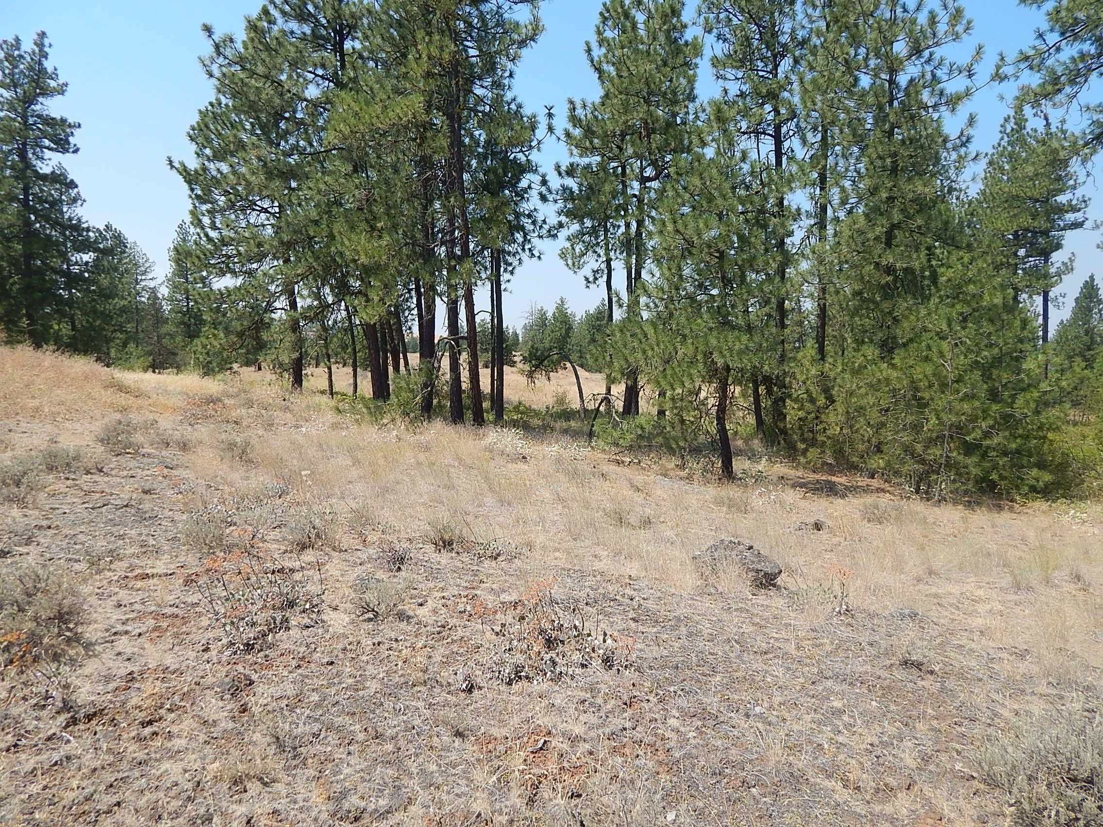 249014 W Kitt Rd - Photo 17