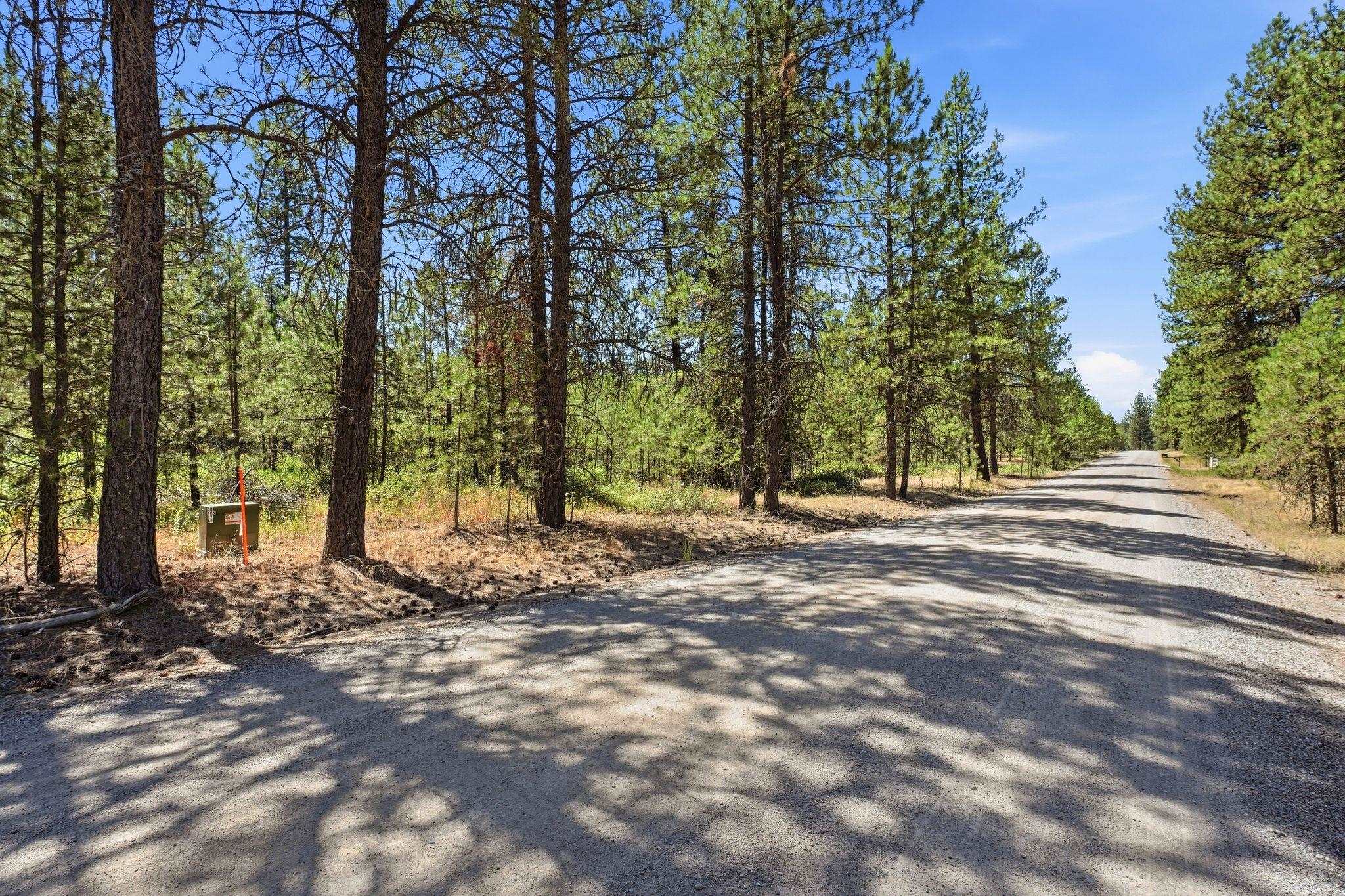 0 E Owens Rd - Photo 2
