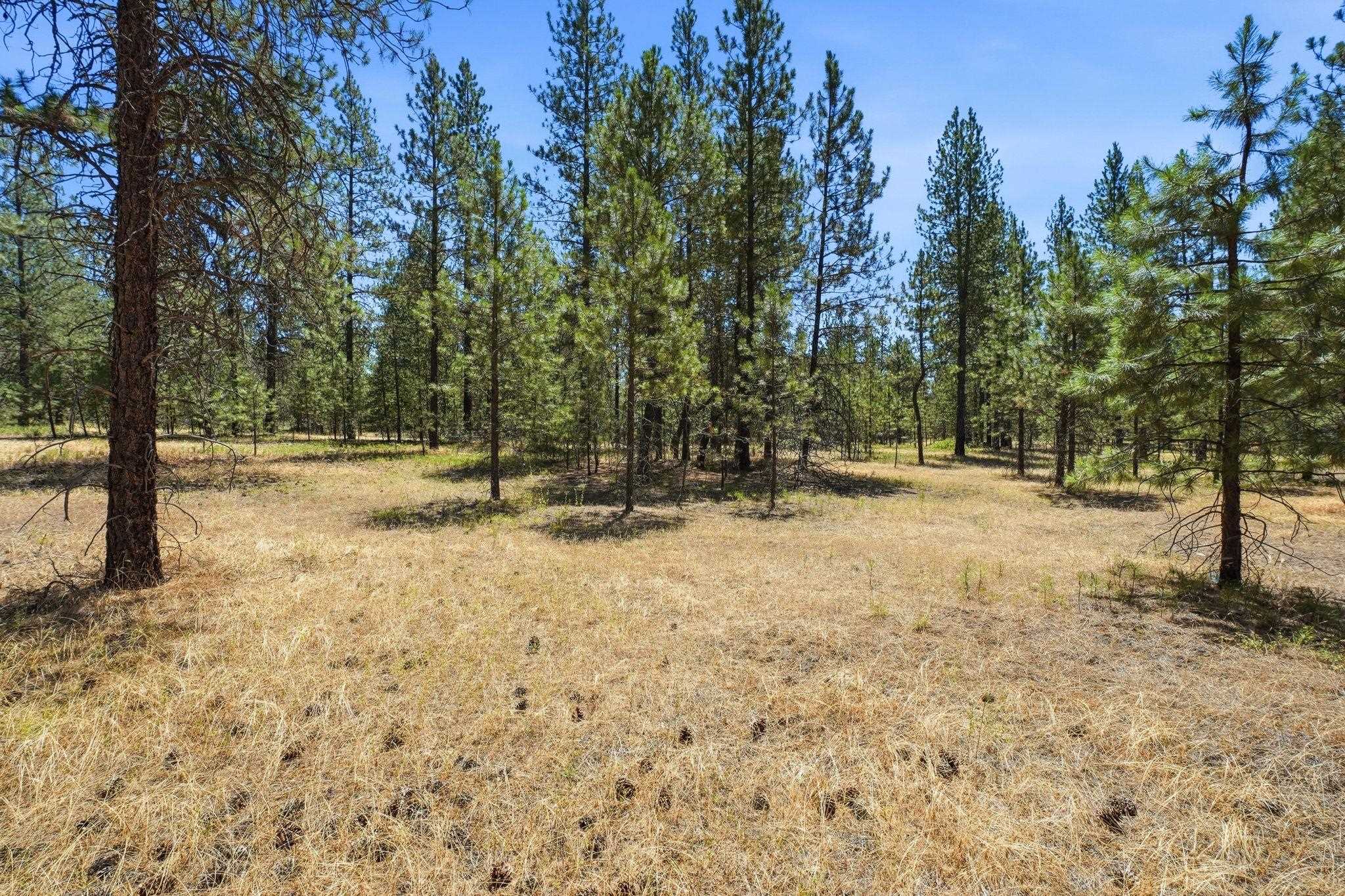 0 E Owens Rd - Photo 3