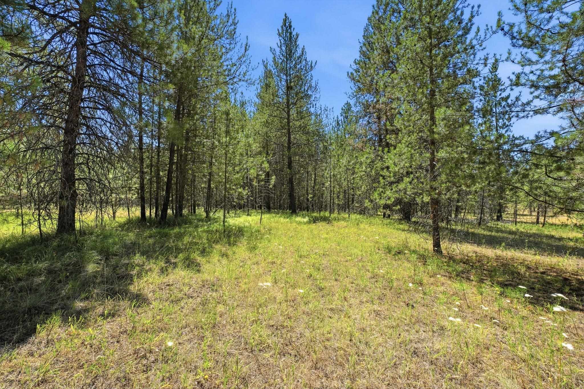 0 E Owens Rd - Photo 4