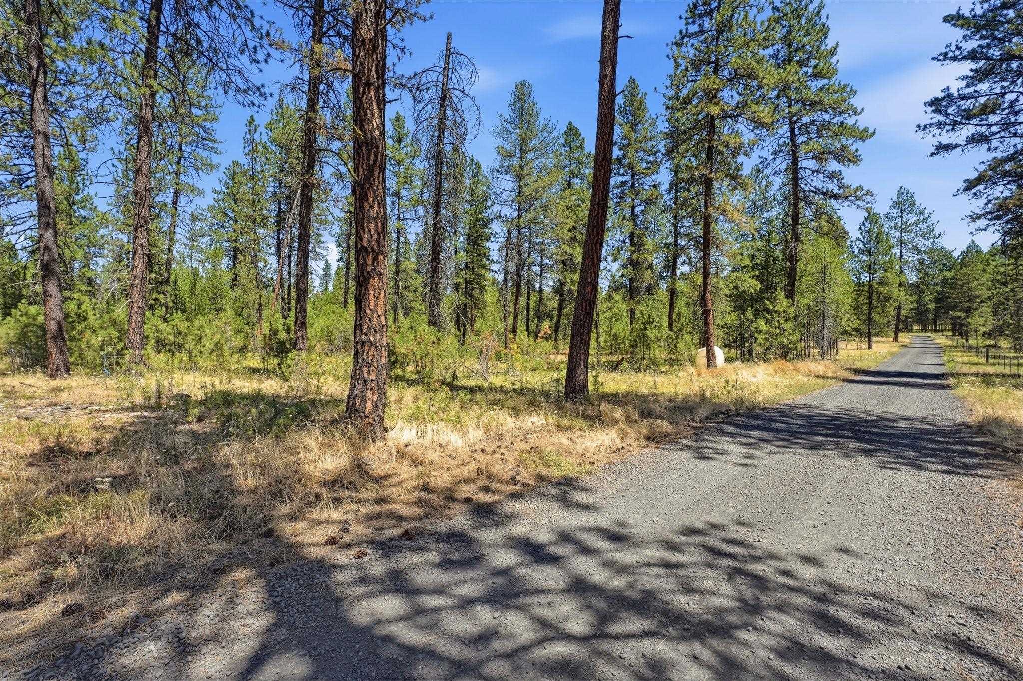 0 E Owens Rd - Photo 5
