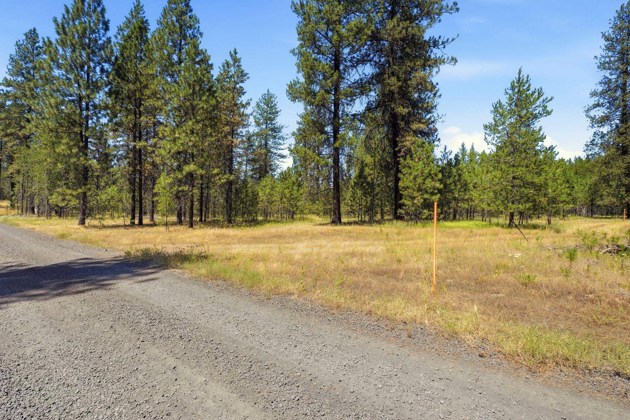 0 E Owens Rd - Photo 6