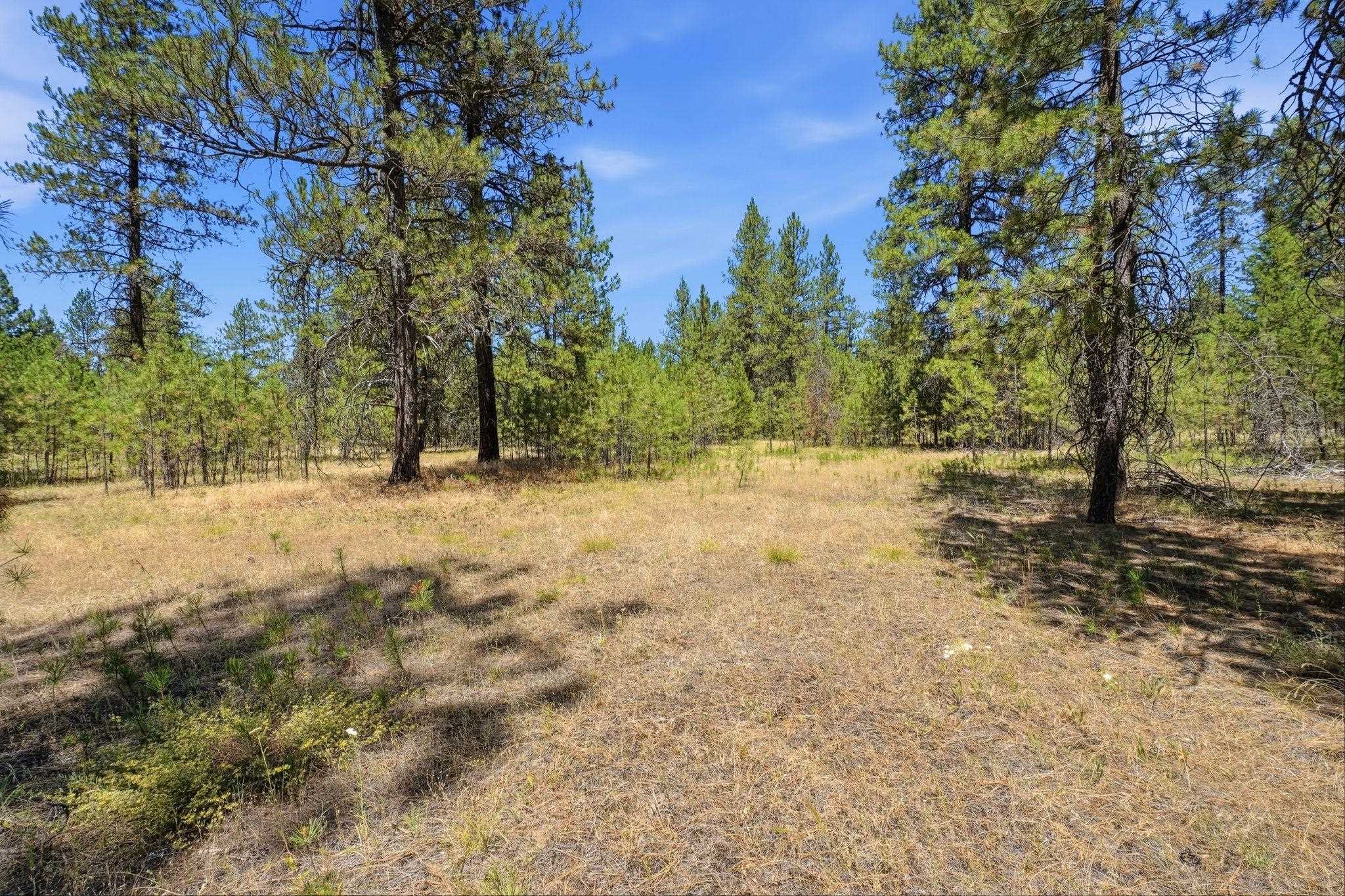 0 E Owens Rd - Photo 7