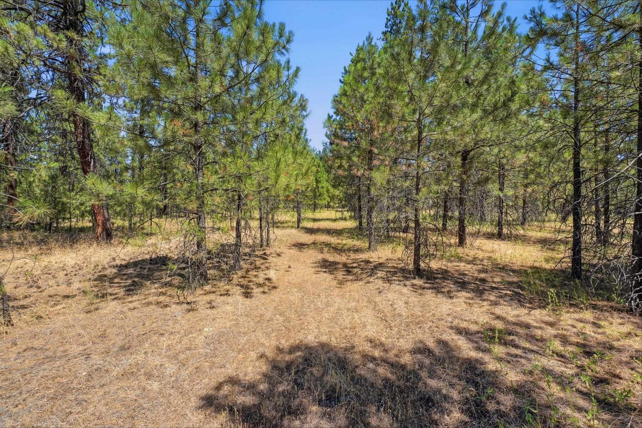 0 E Owens Rd - Photo 8