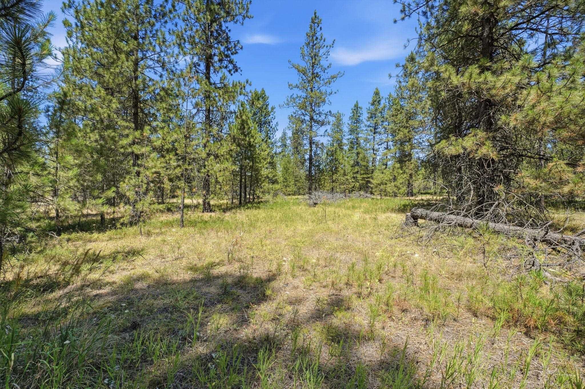 0 E Owens Rd - Photo 9