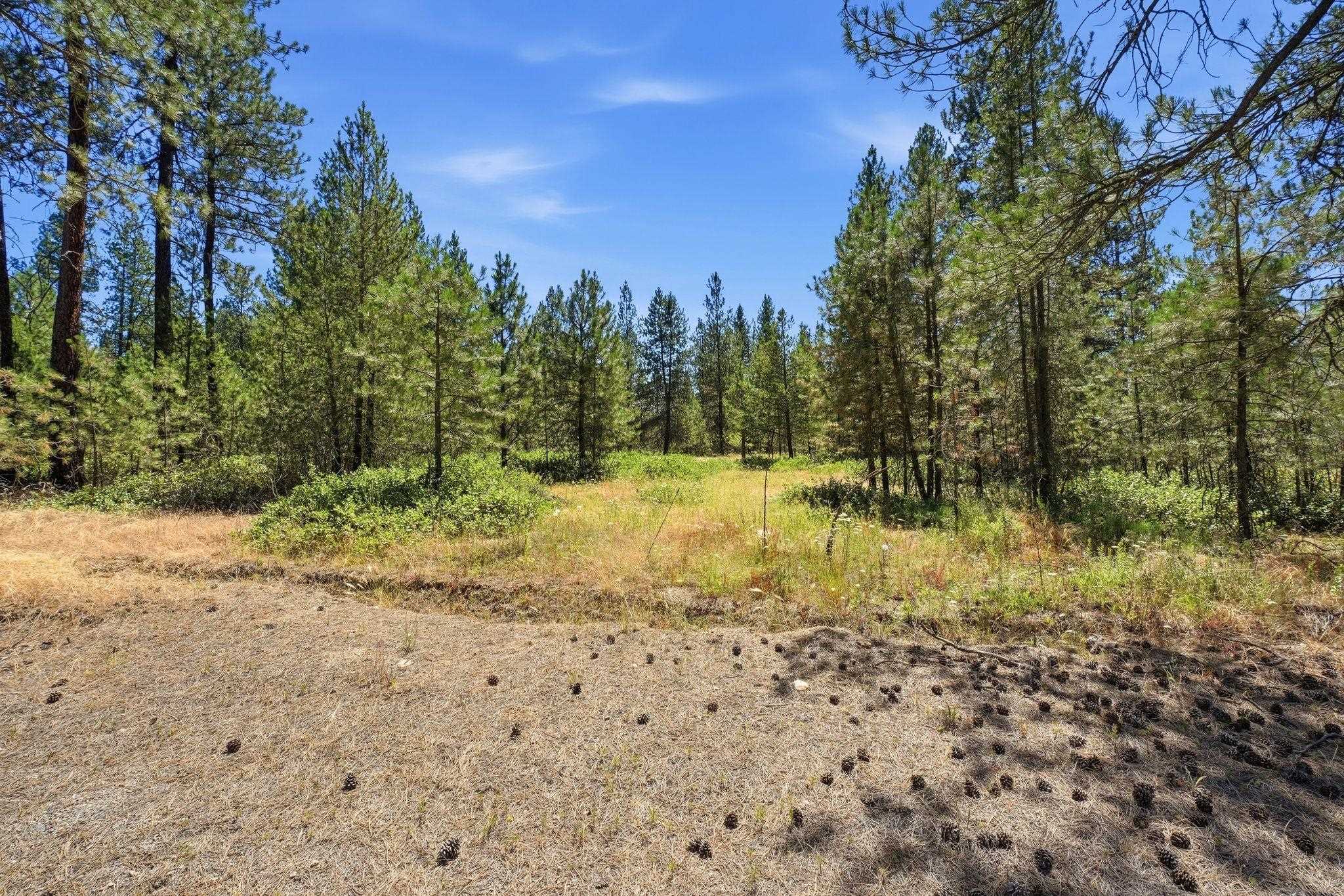 0 E Owens Rd - Photo 10