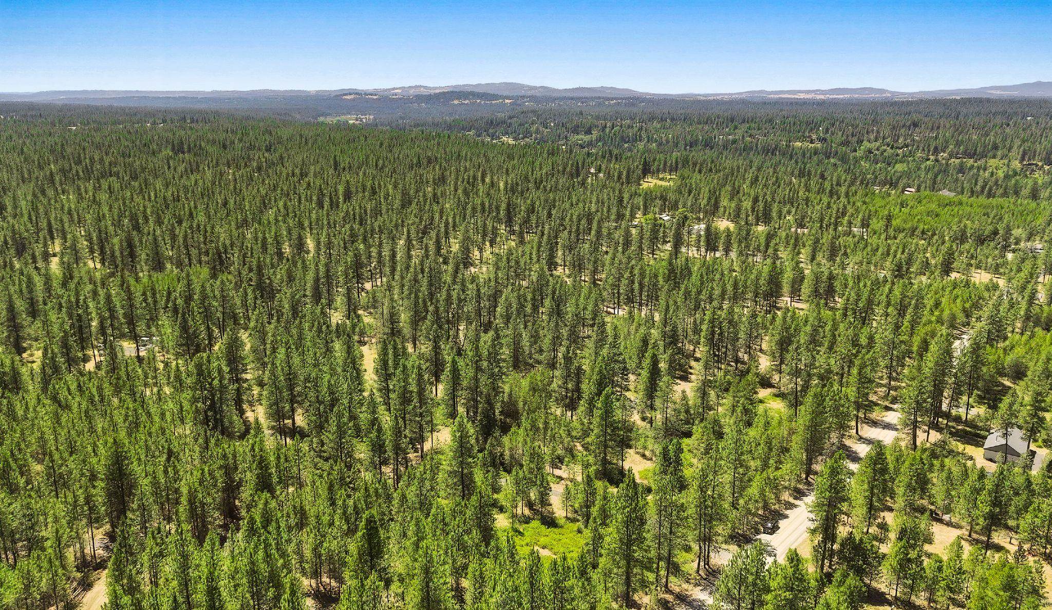 0 E Owens Rd - Photo 11