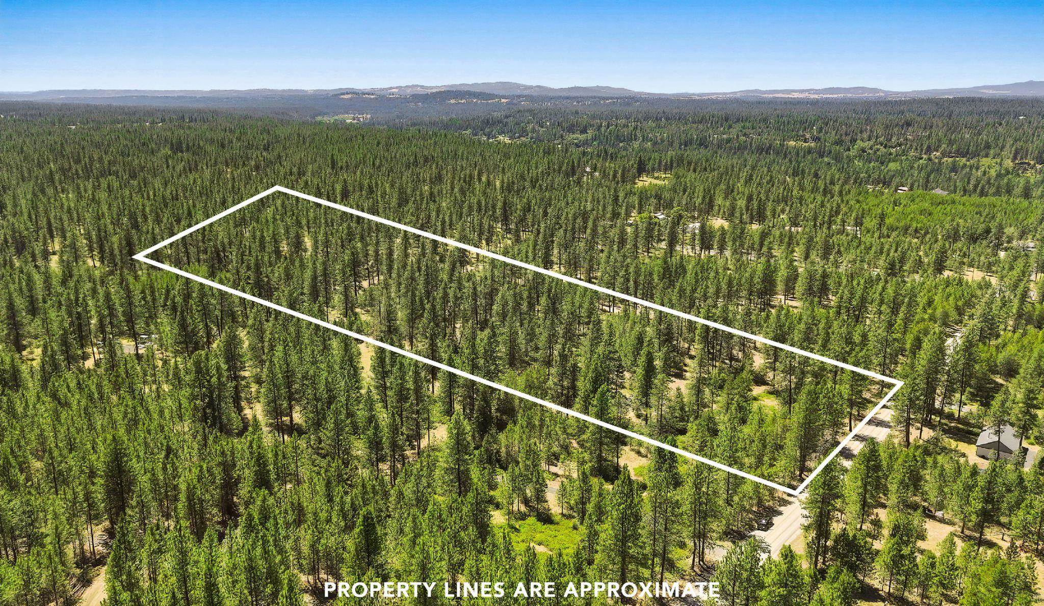 0 E Owens Rd - Photo 1