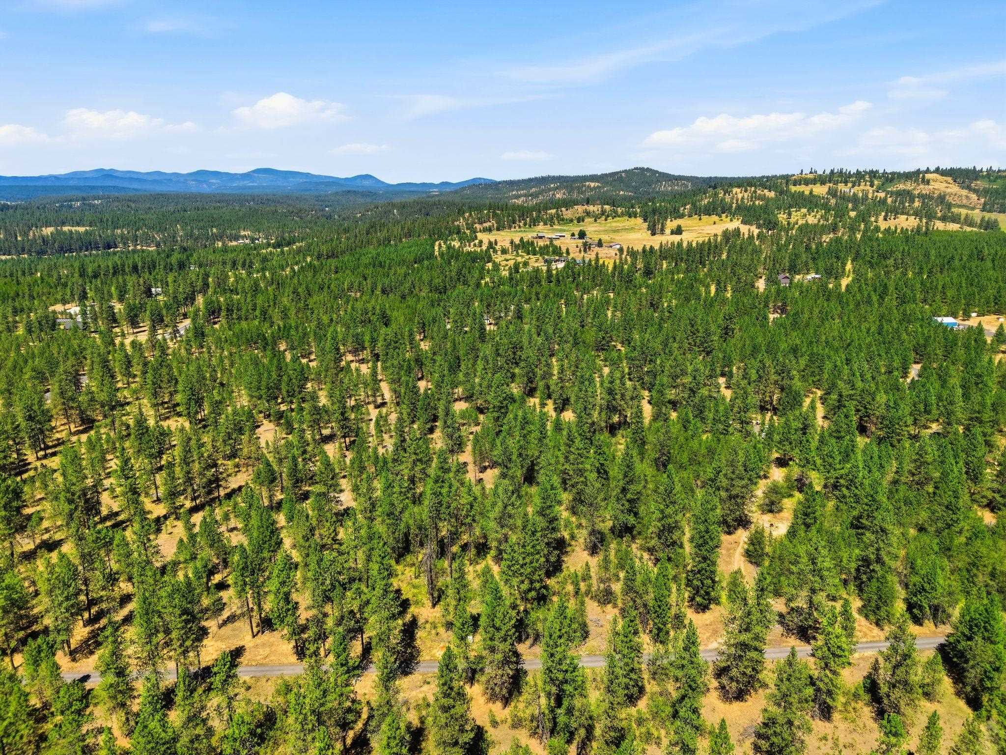 0 E Owens Rd - Photo 12