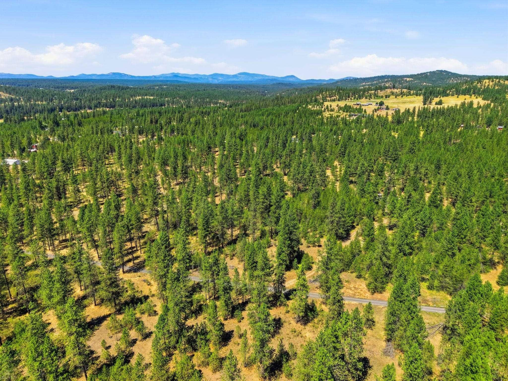 0 E Owens Rd - Photo 13