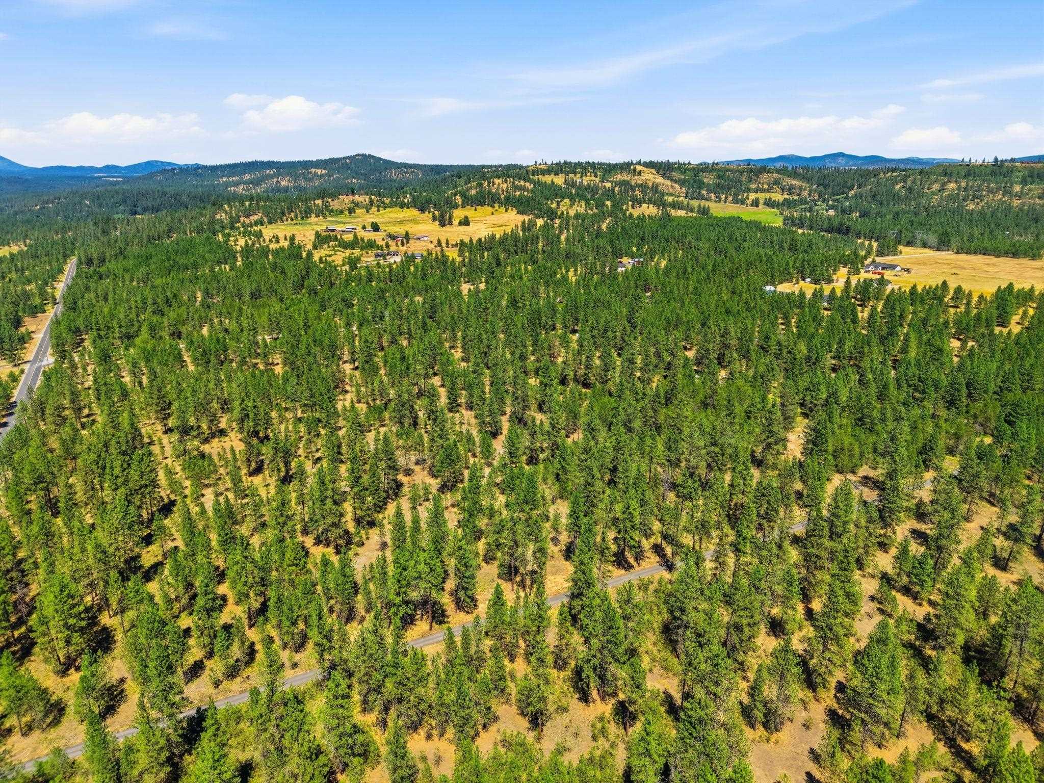 0 E Owens Rd - Photo 14