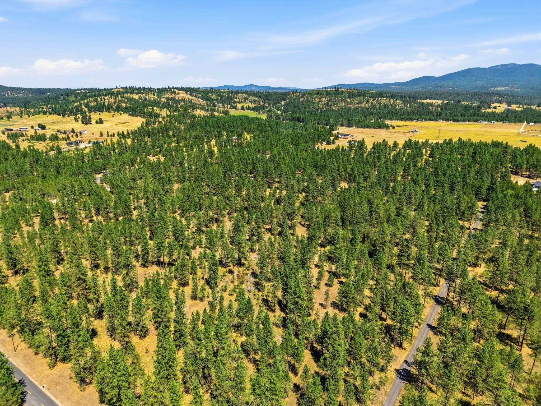 0 E Owens Rd - Photo 17