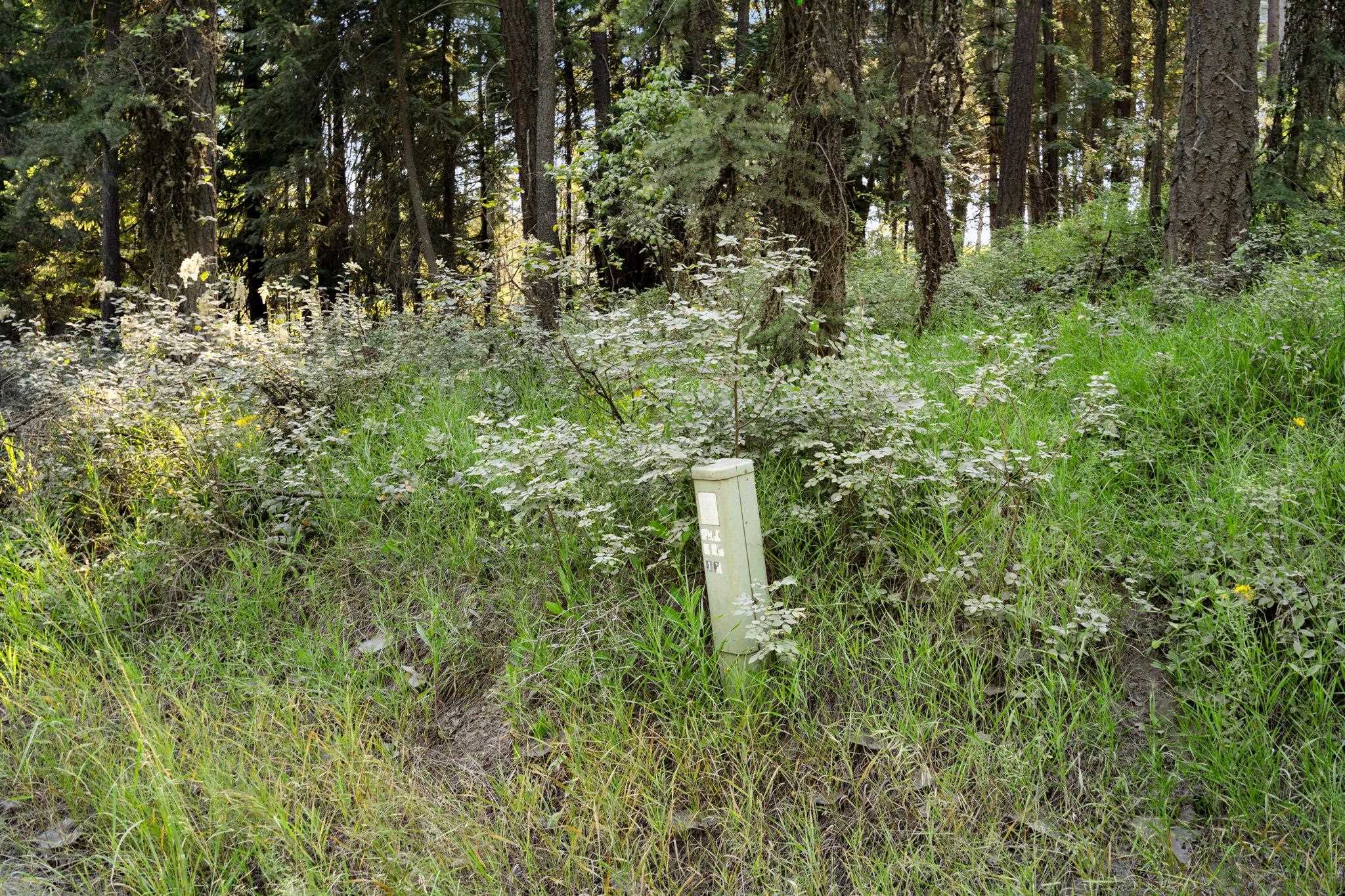 XXX N Madison Rd - Photo 25