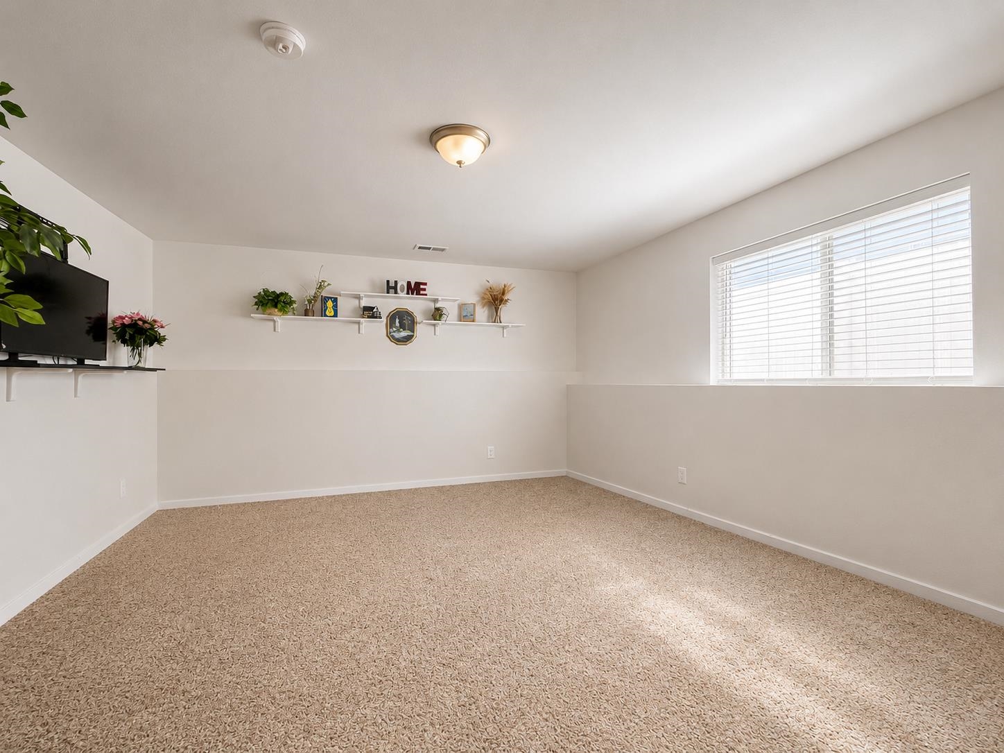 8810 N Cannon St - Photo 34