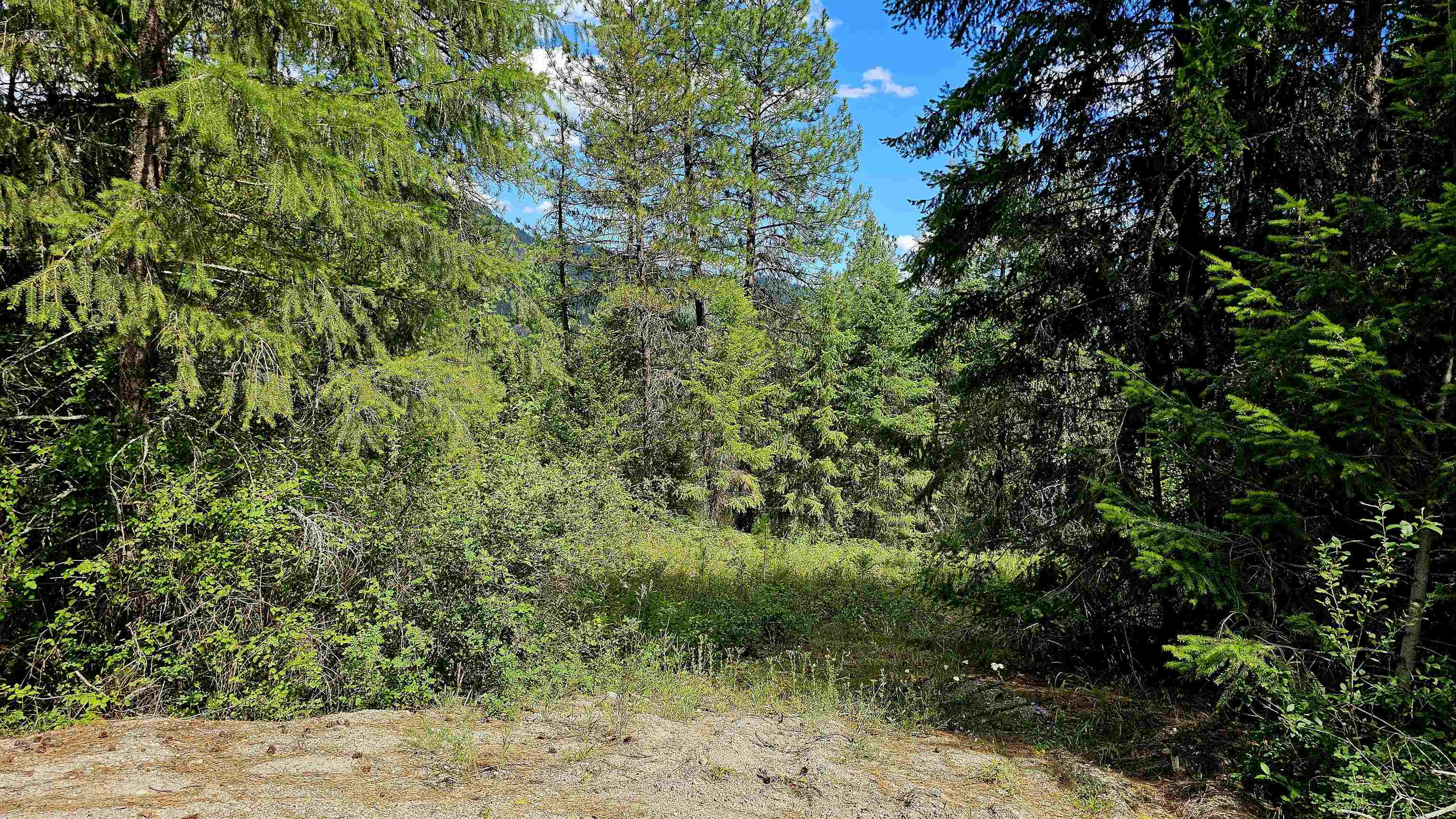 10 Humes Rd - Photo 1