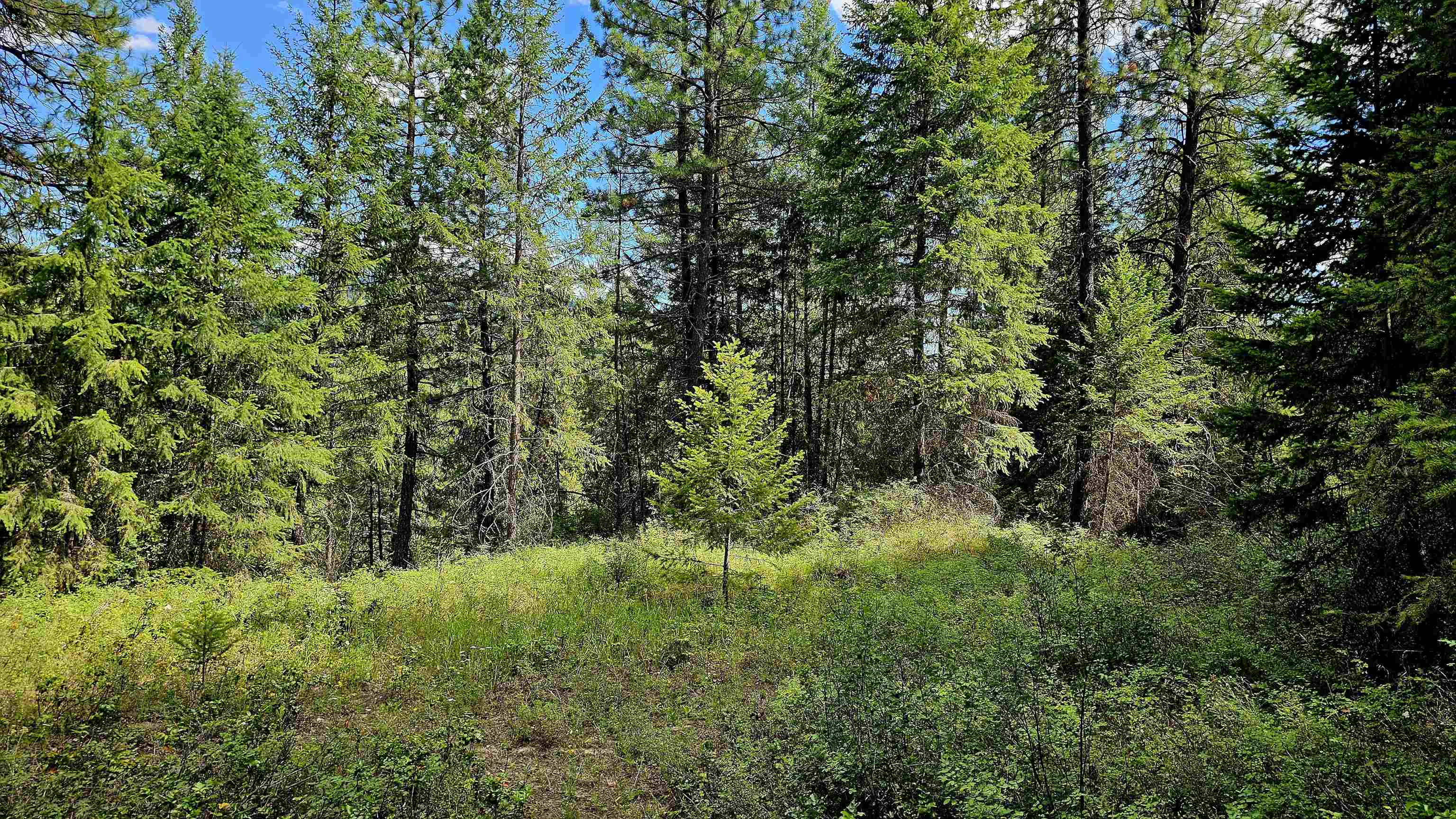 10 Humes Rd - Photo 4