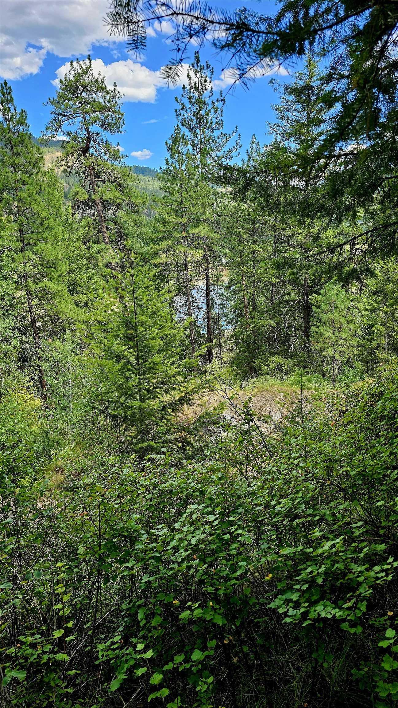10 Humes Rd - Photo 6