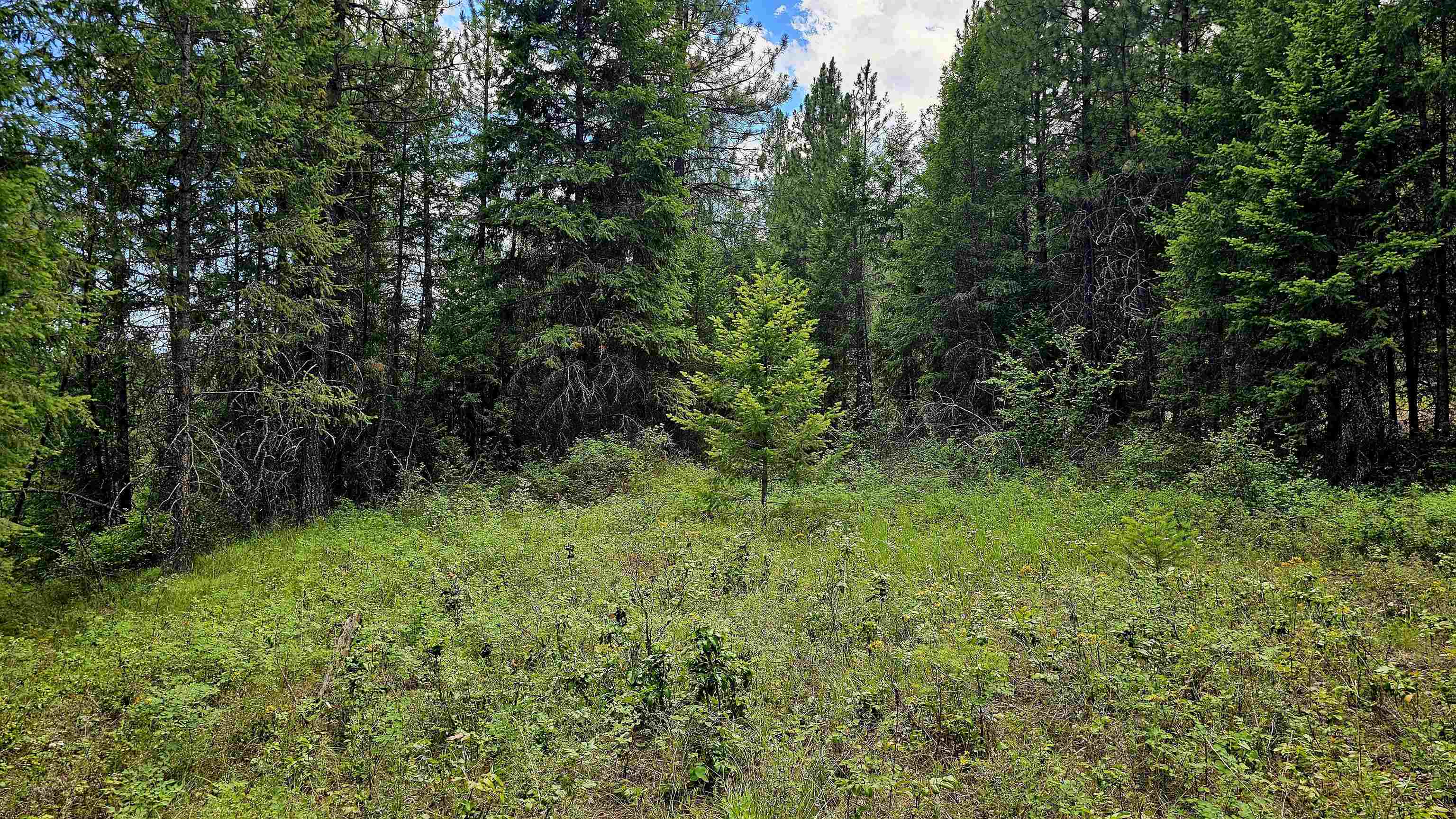 10 Humes Rd - Photo 8