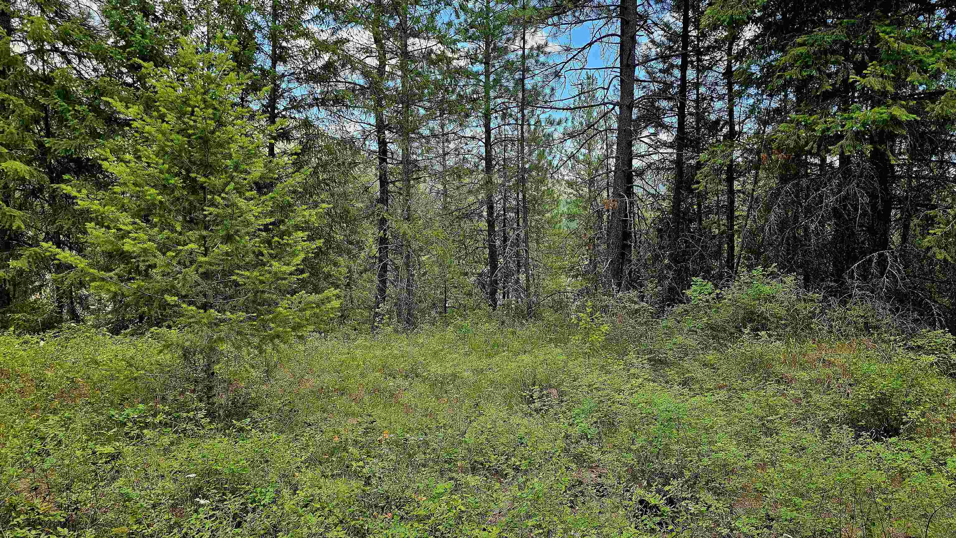 10 Humes Rd - Photo 9