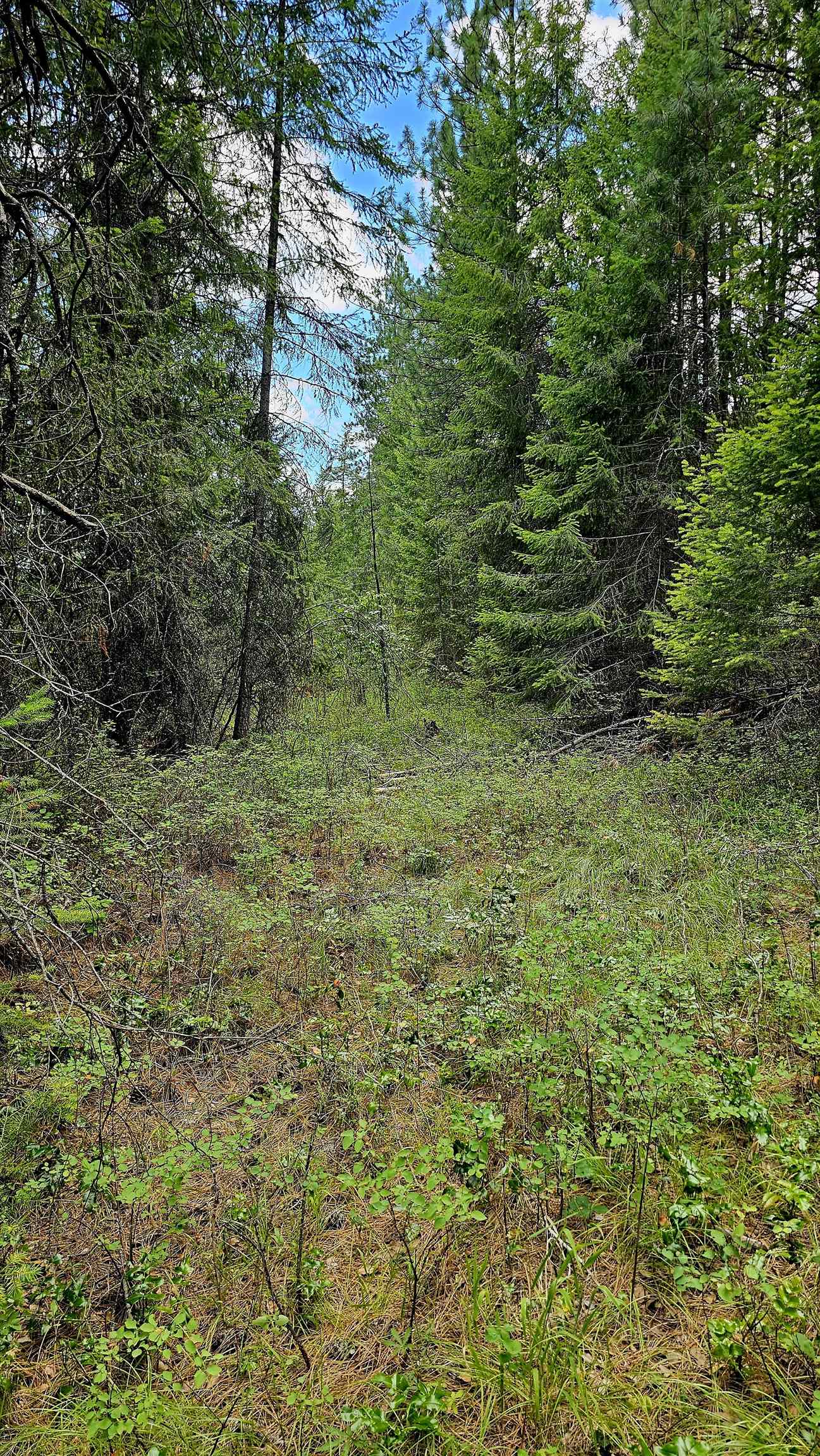 10 Humes Rd - Photo 11