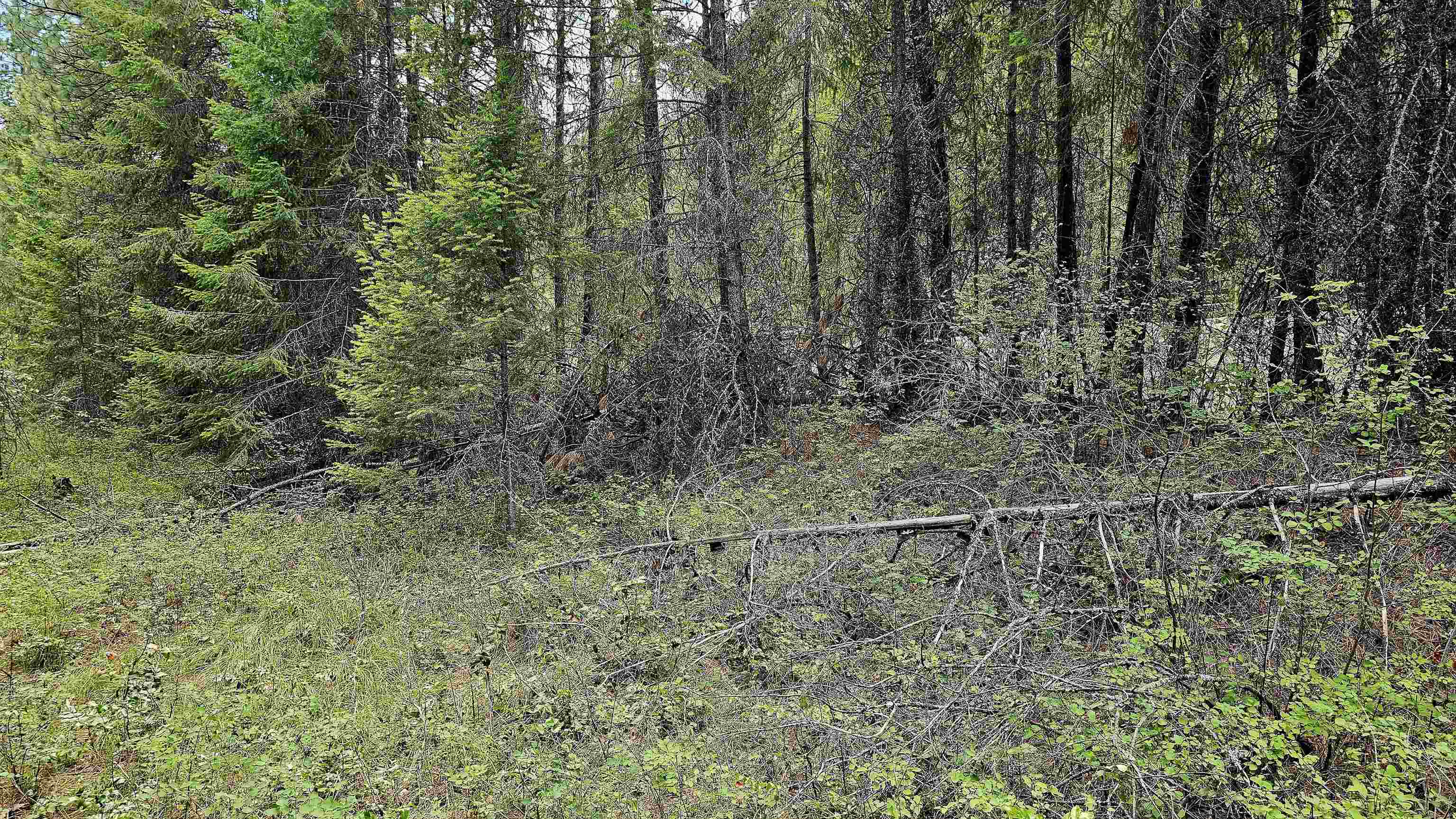 10 Humes Rd - Photo 12