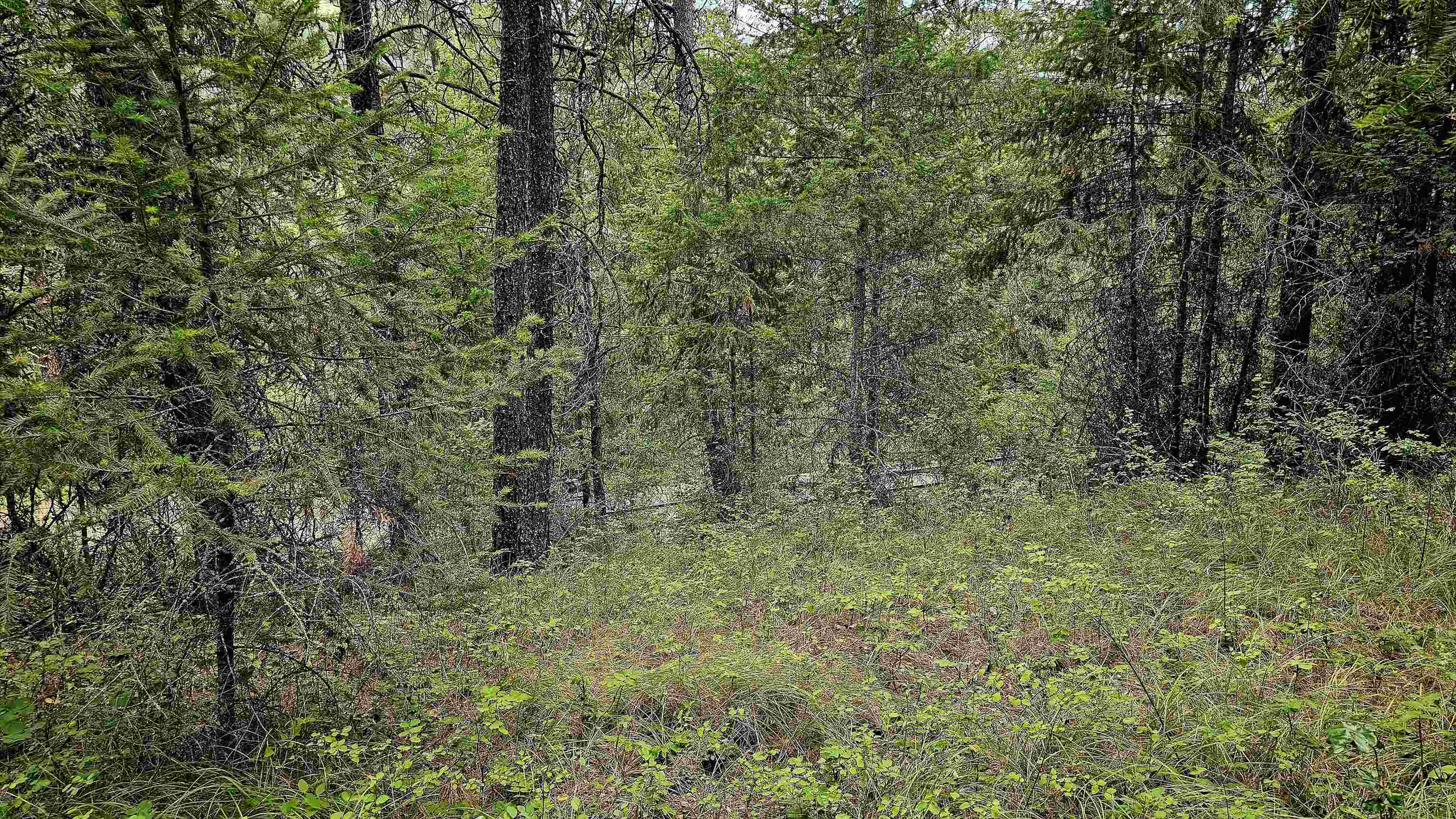 10 Humes Rd - Photo 13