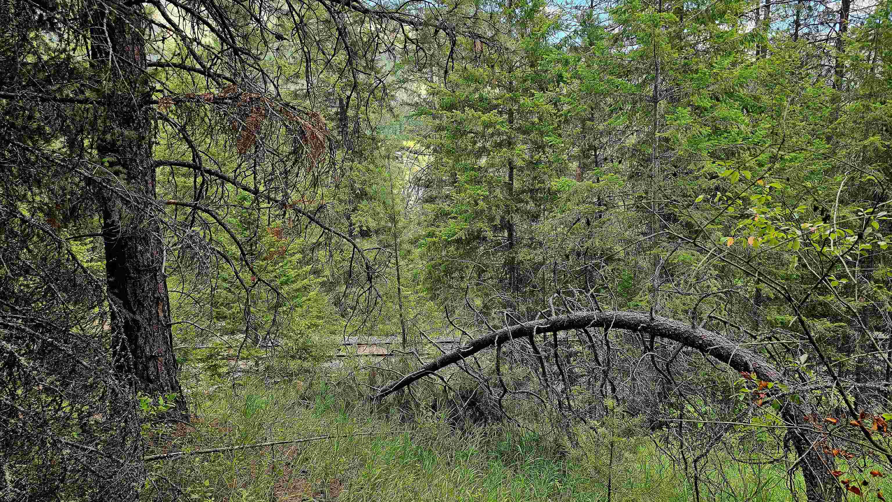 10 Humes Rd - Photo 15