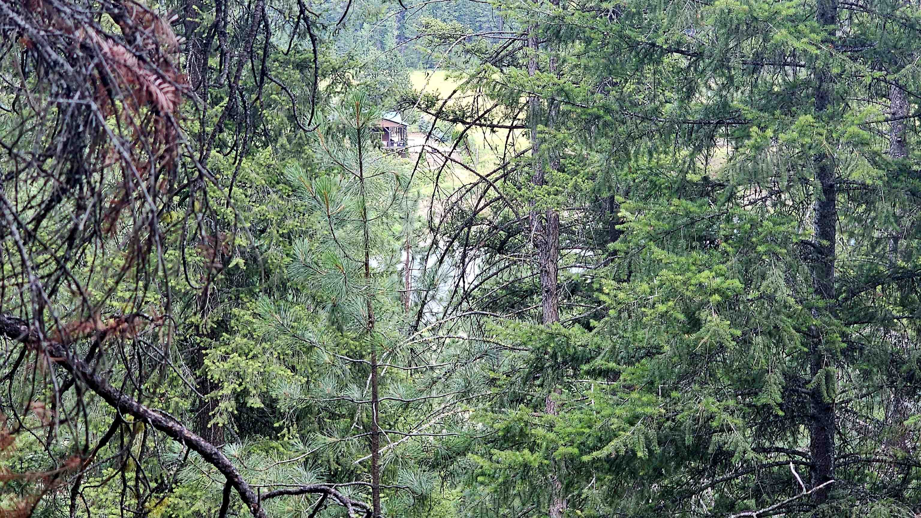 10 Humes Rd - Photo 16