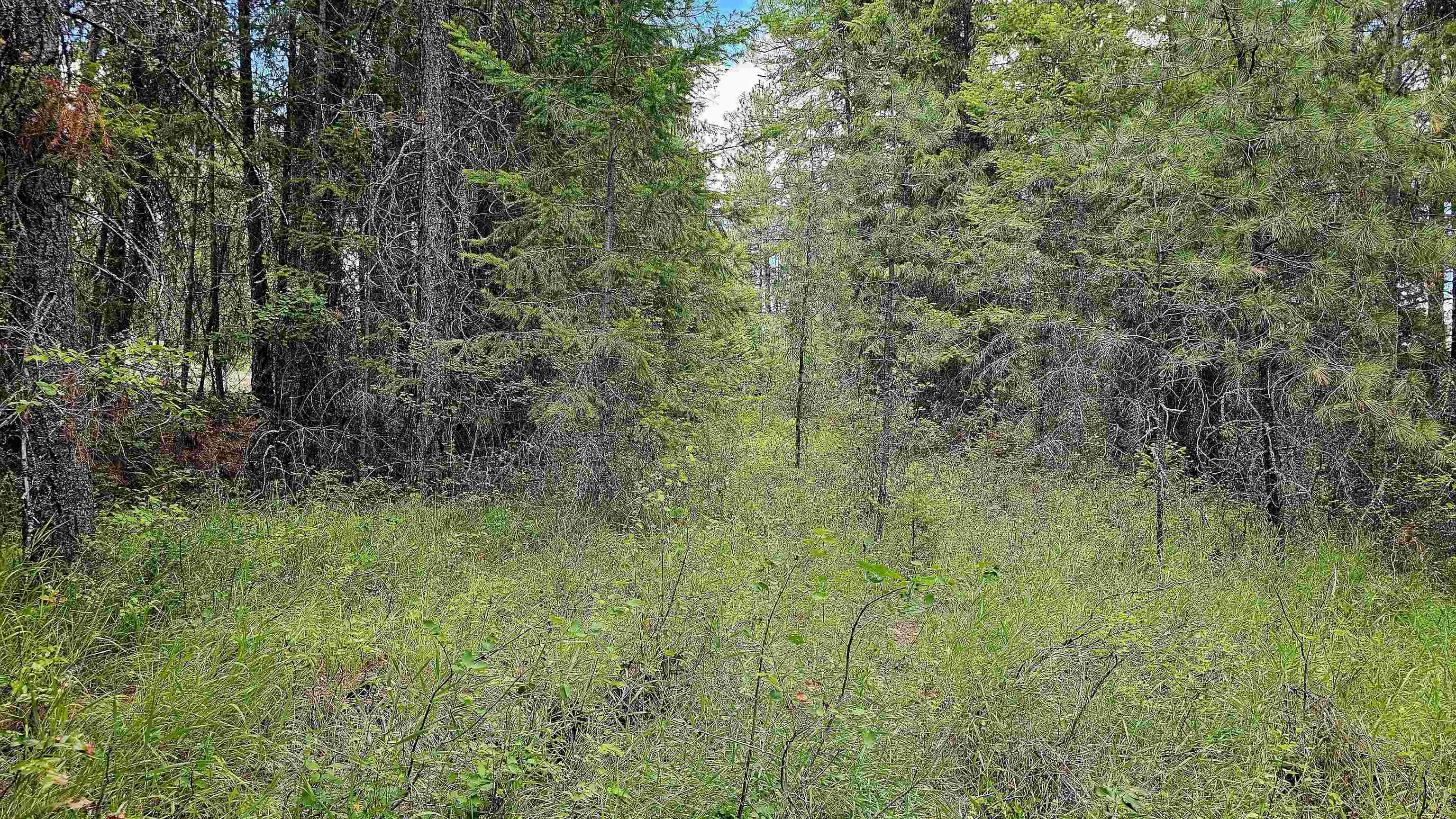 10 Humes Rd - Photo 17