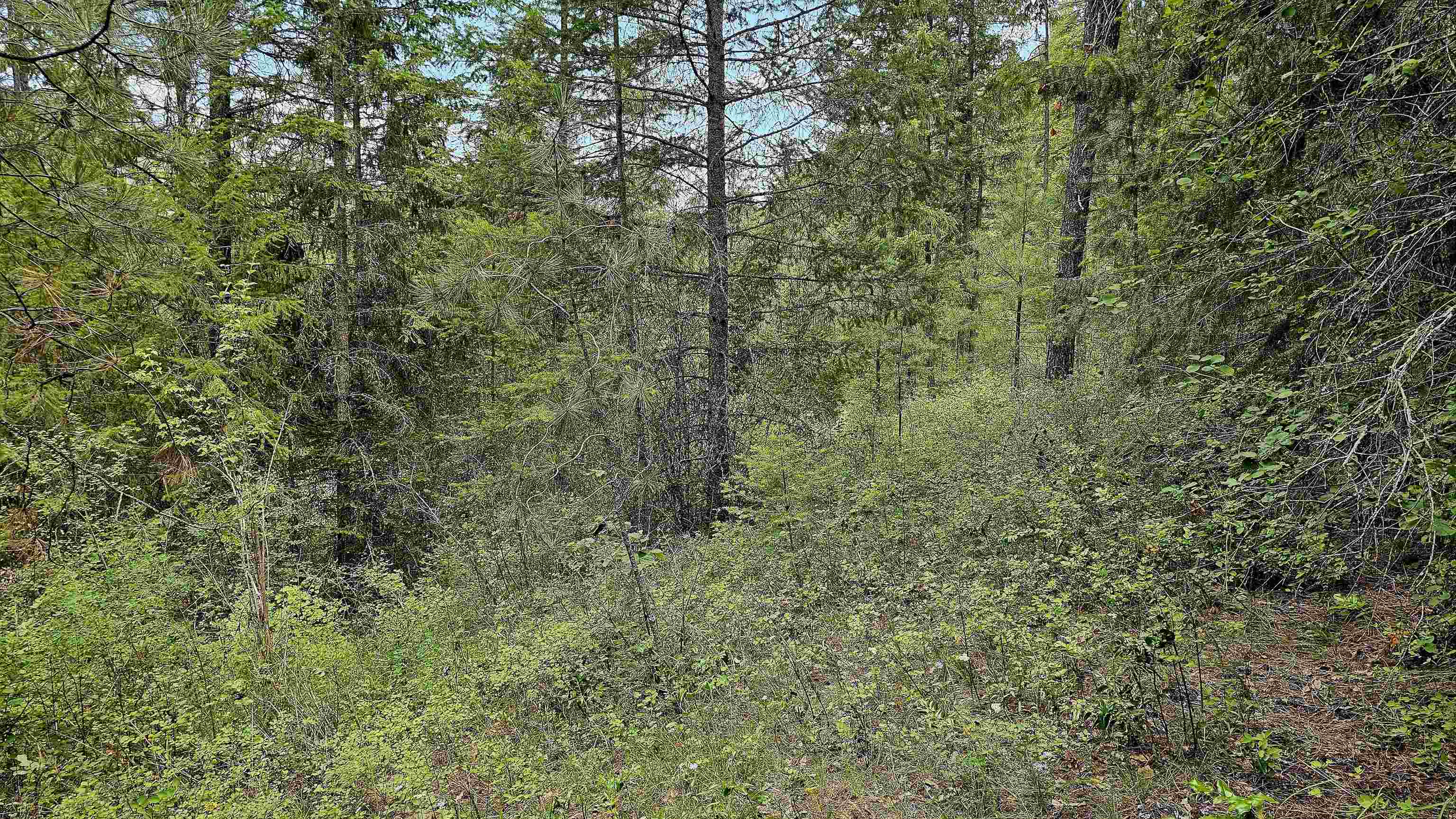 10 Humes Rd - Photo 18
