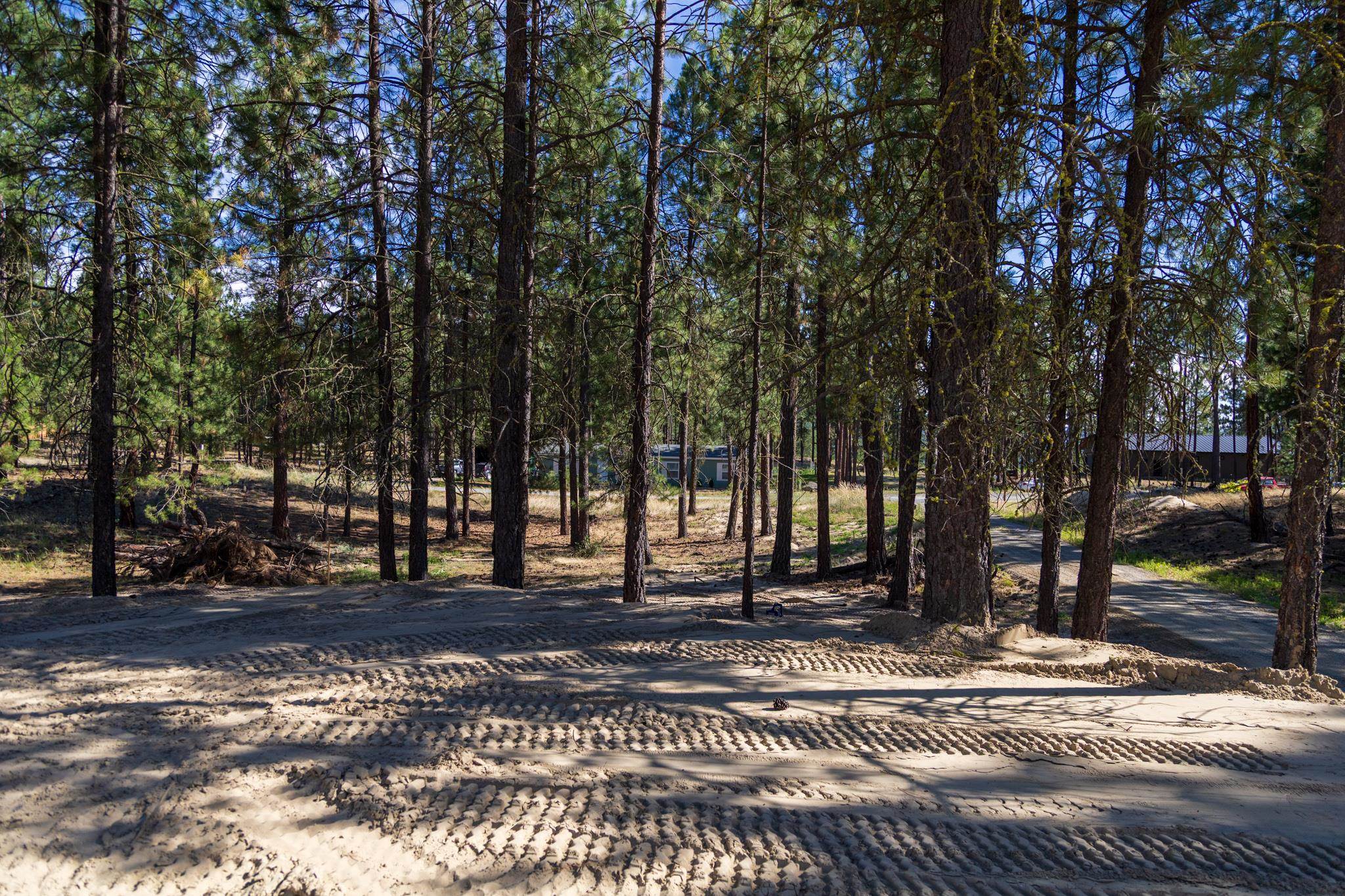1348 Myrtle Way - Photo 19