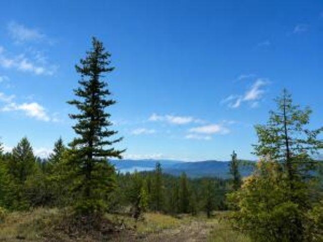 4XX #L Morning Star Ln - Photo 4