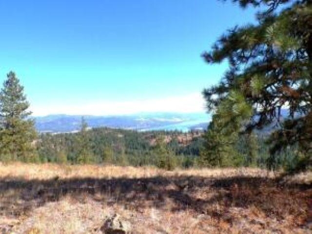 4XX #L Morning Star Ln - Photo 7