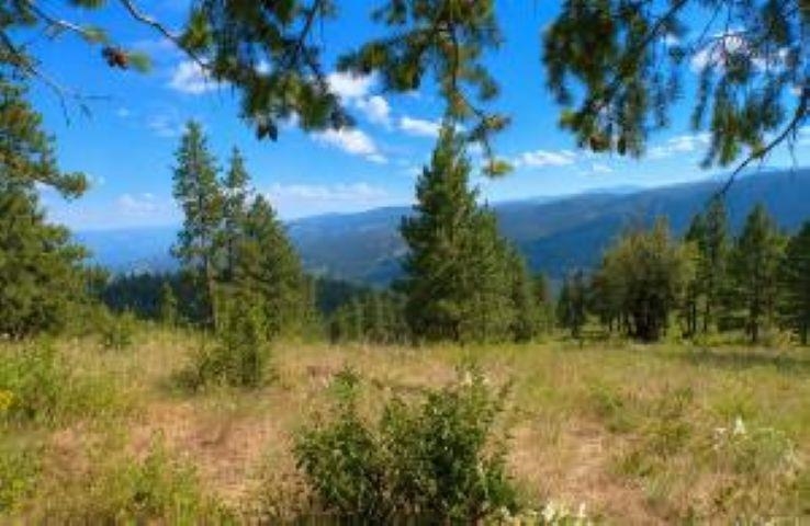4XX #L Morning Star Ln - Photo 12