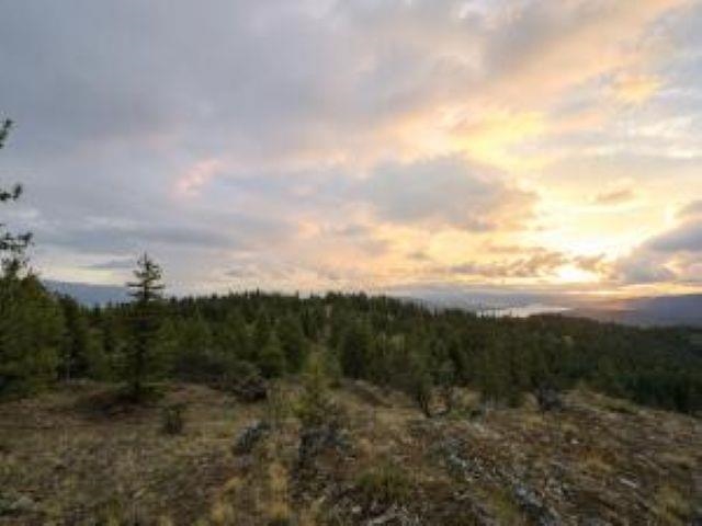 4XX #L Morning Star Ln - Photo 18