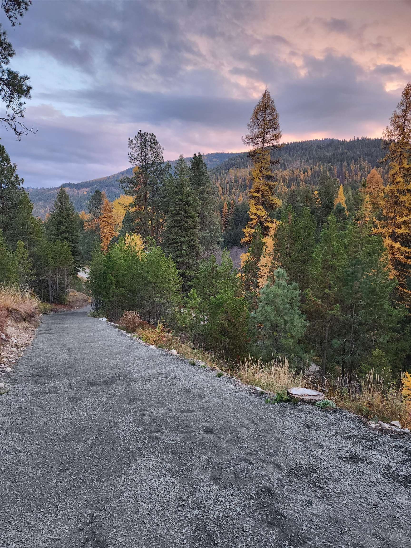 604 Deadman Creek Rd - Photo 37